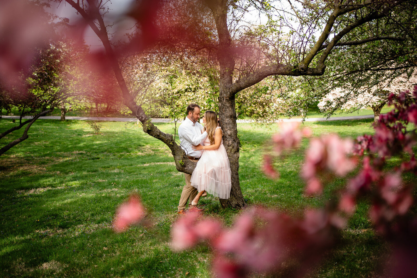 engagement photos cherry blossom trees crab apple trees water works park Des Moines Iowa