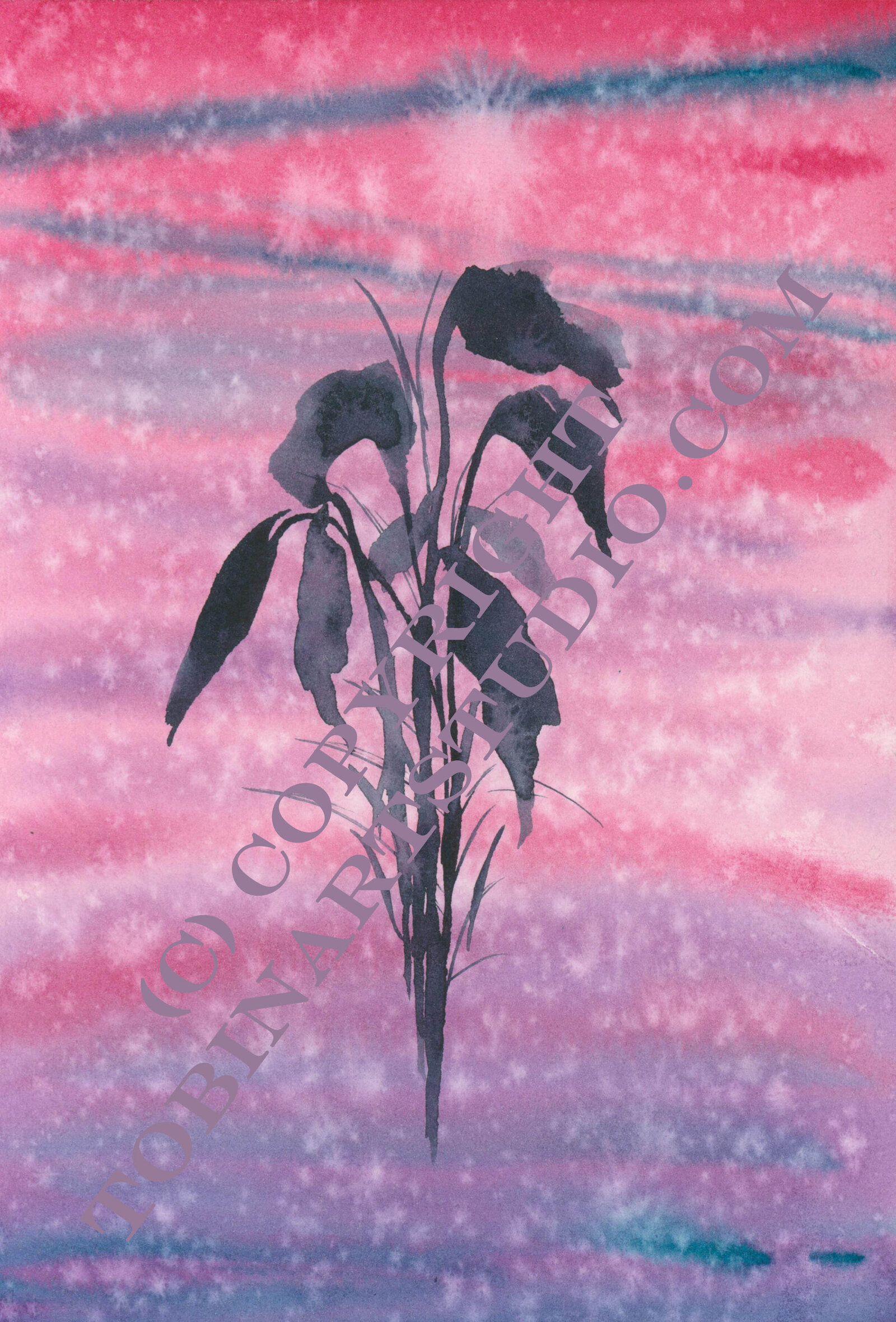 Pink_Flower_Silhouette_WM_12112024 SM