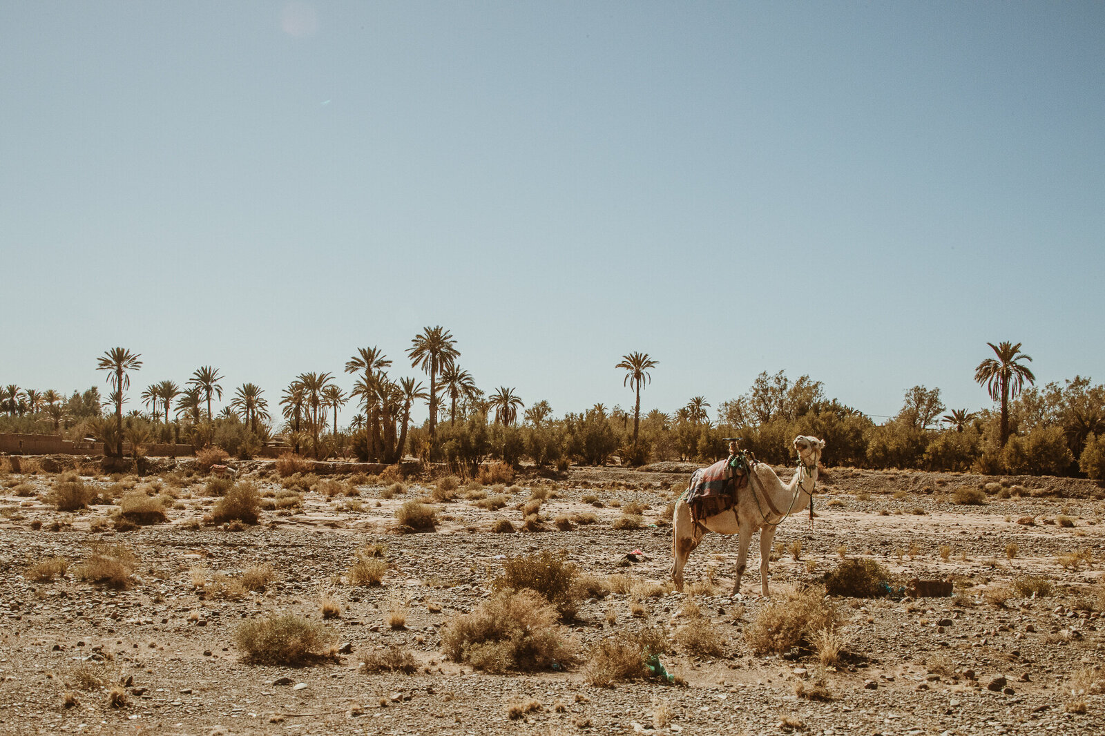morocco-desert-camping-27