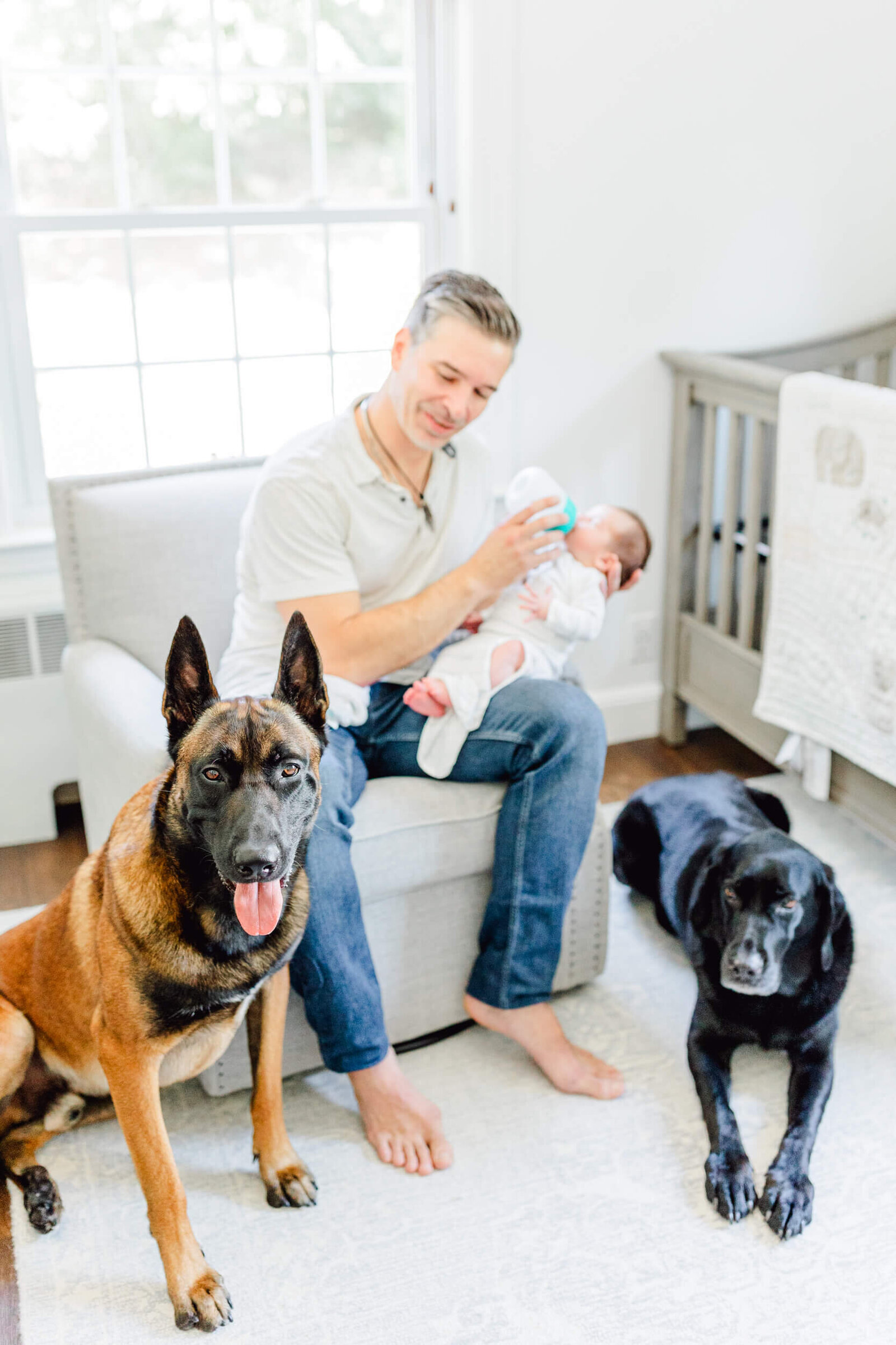 dad feeds his baby a bottle while two dogs stand guard