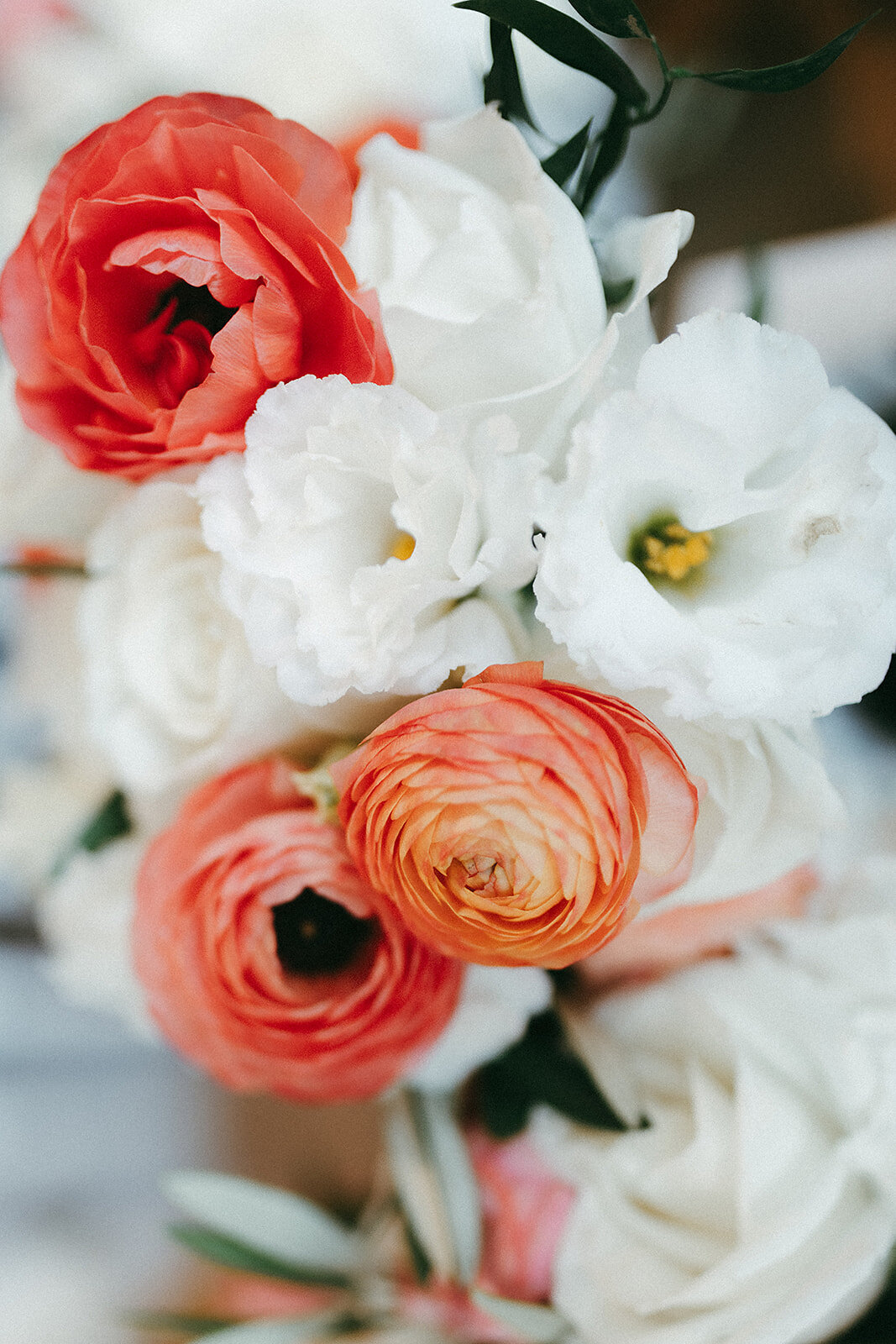 J+M 22 britthillphoto_websize
