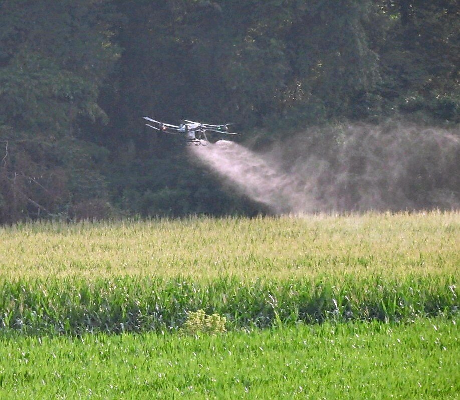 Raven 6 Rising applying fungicide with the DJI Agras T-40
