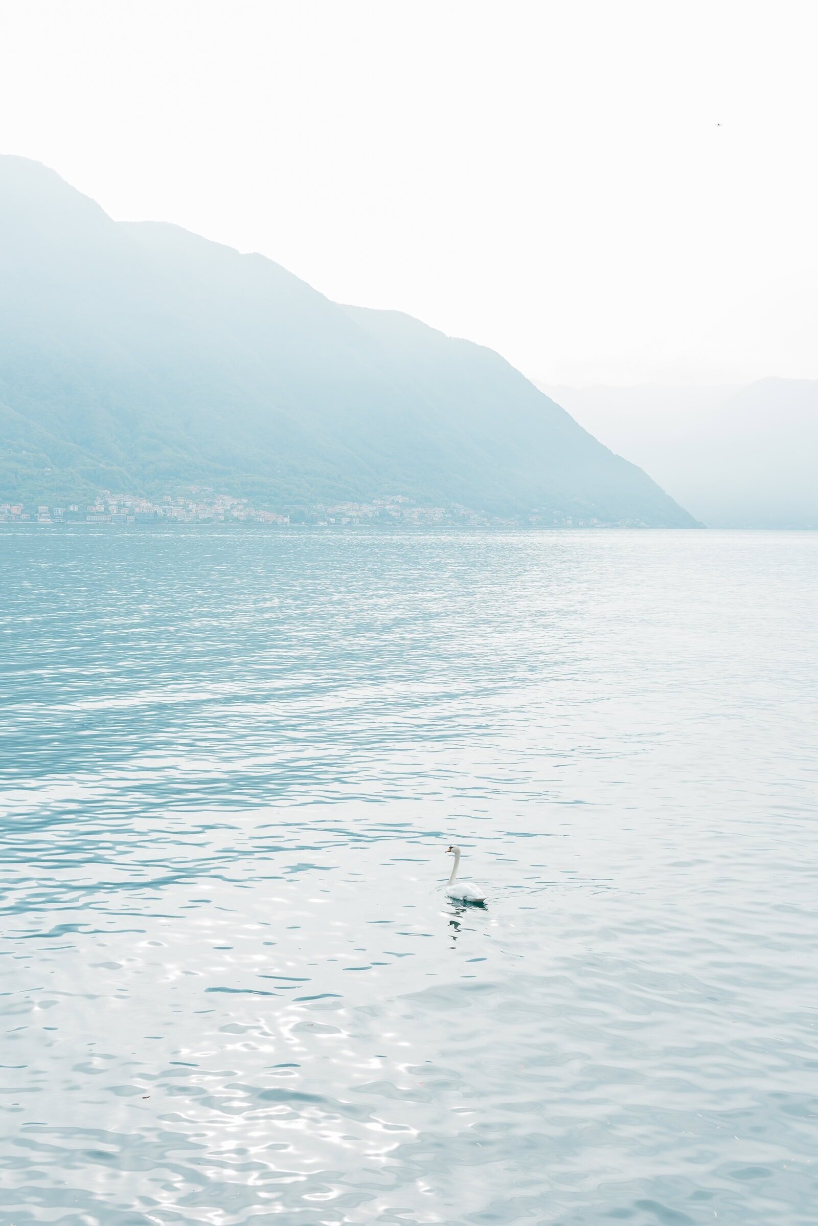 Destination Wedding Photographer Anna Lundgren in Stockholm Wedding in Lake Como Villa La Cassinella elopement_021