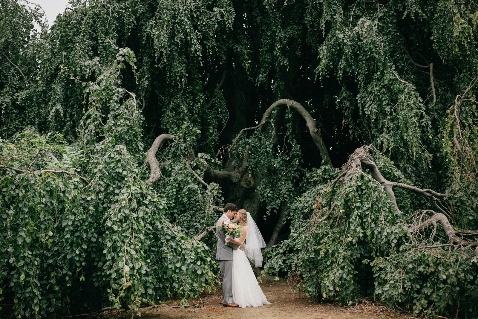 Newly wed couple photographed under a weeping willow tree by Grace Winery Wedding Venue.