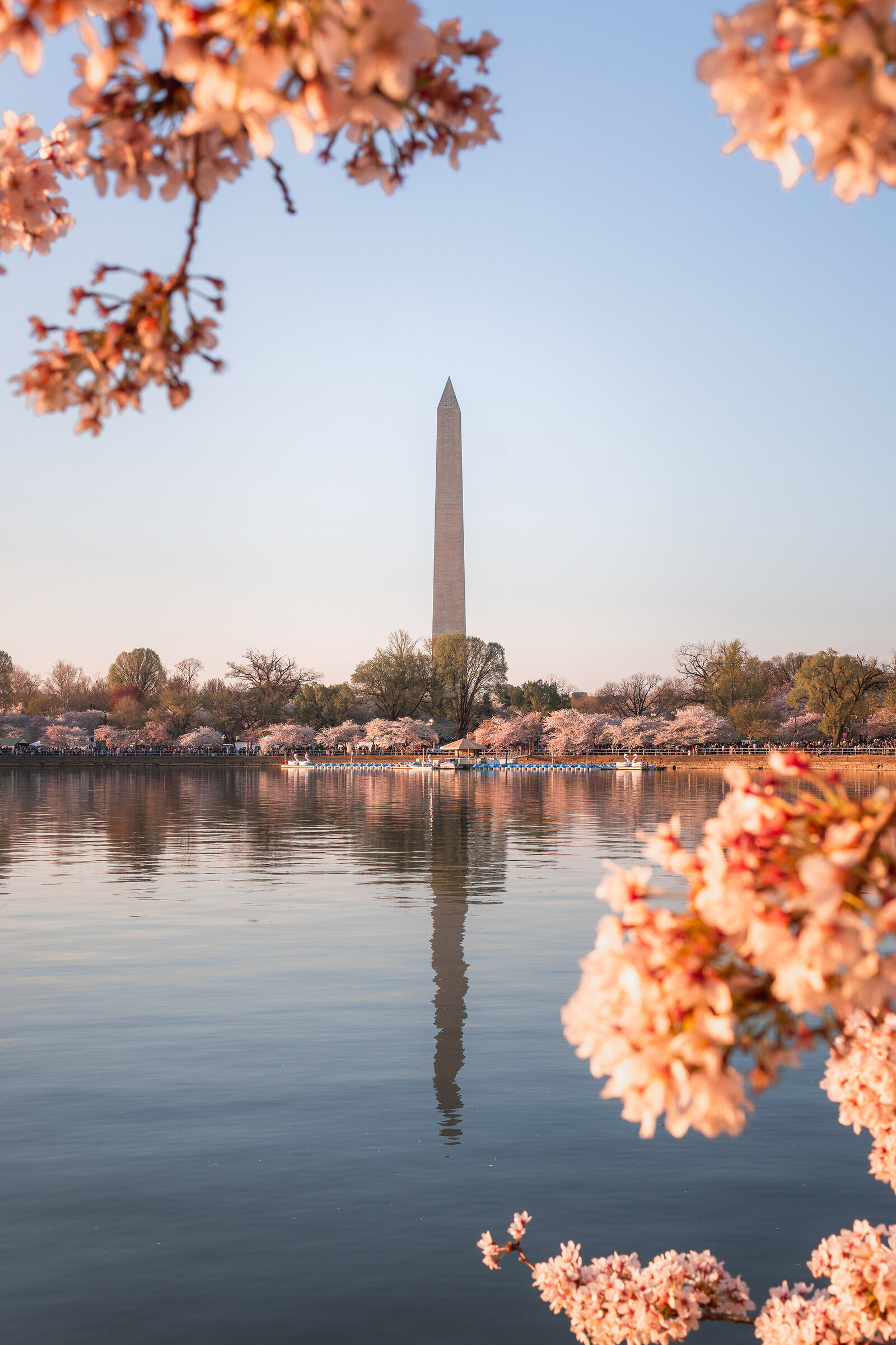 Waldorf Astoria Washington DC Travel Photographer Erin Donahue Photography niredonahue (1)