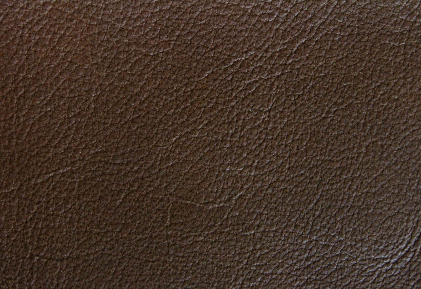 Amadeus Coffee Leather