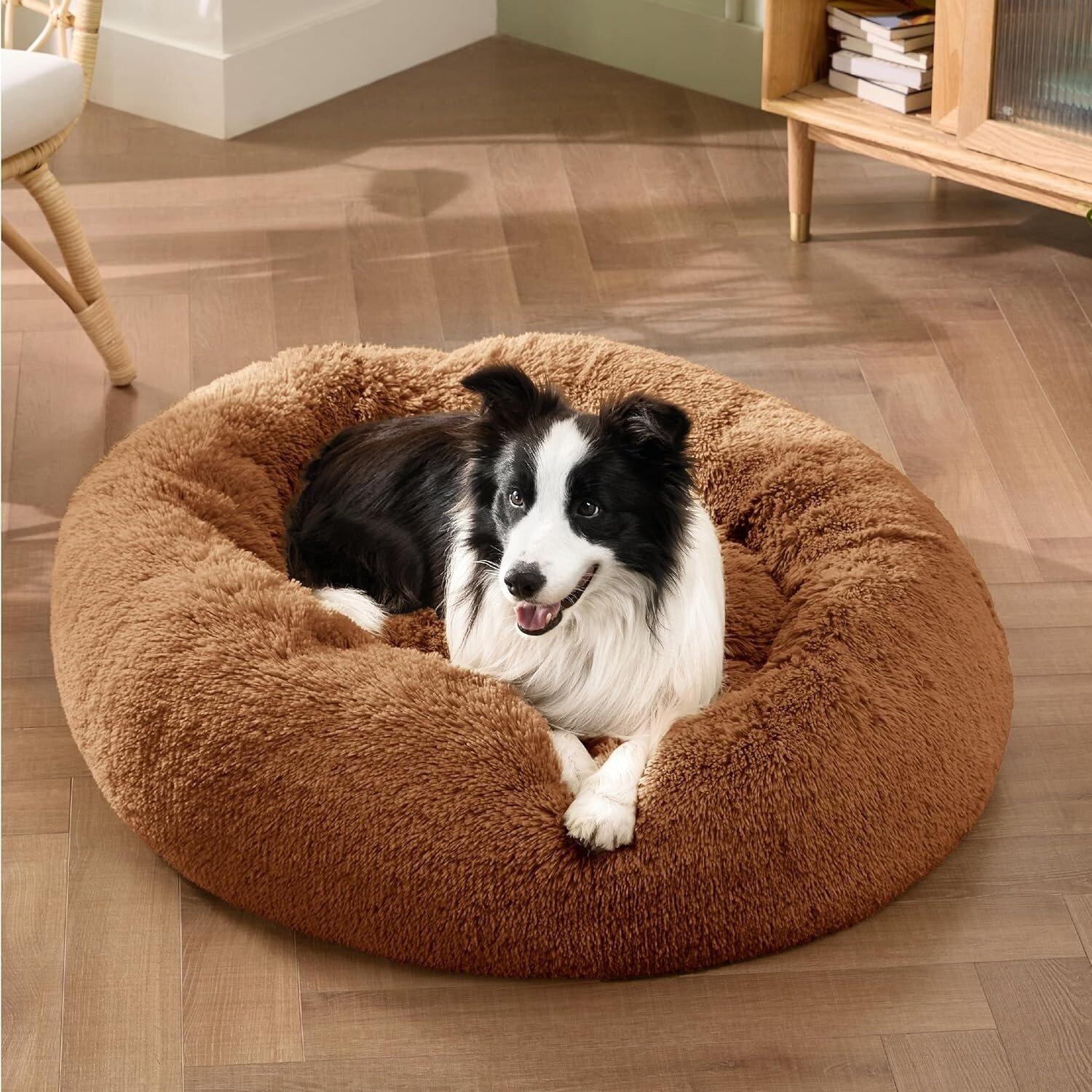 Calming Cat Beds-1