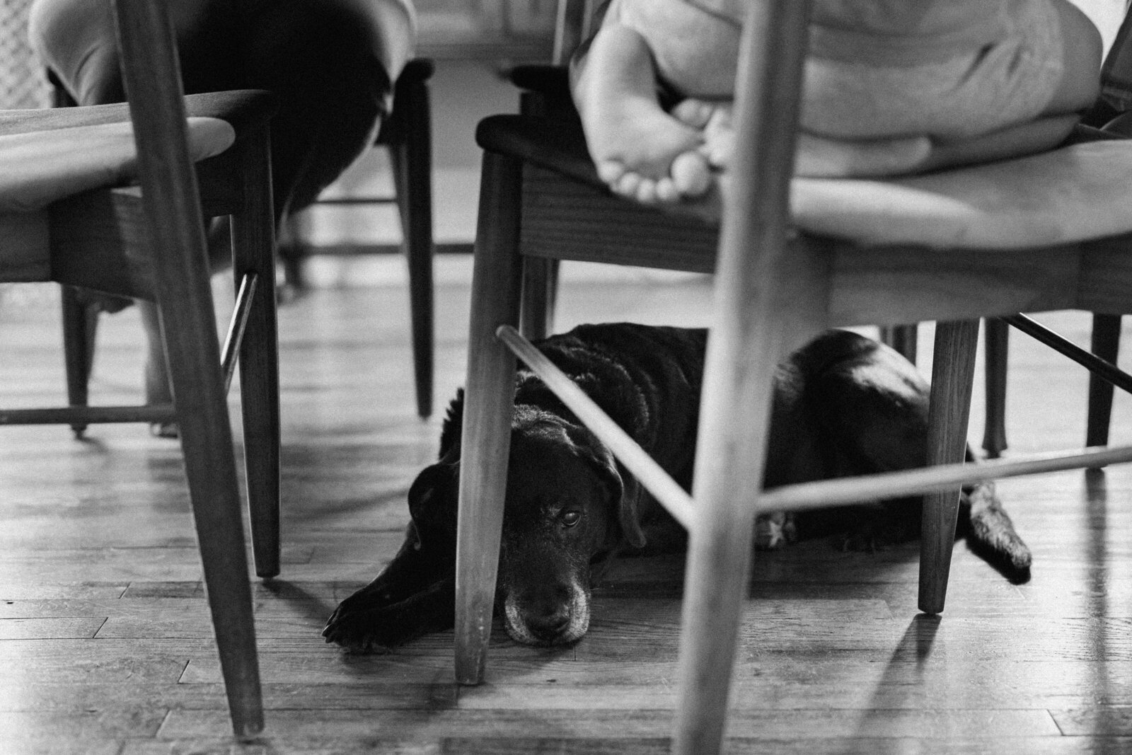 A dog naps under the table while the family eats breakfast above