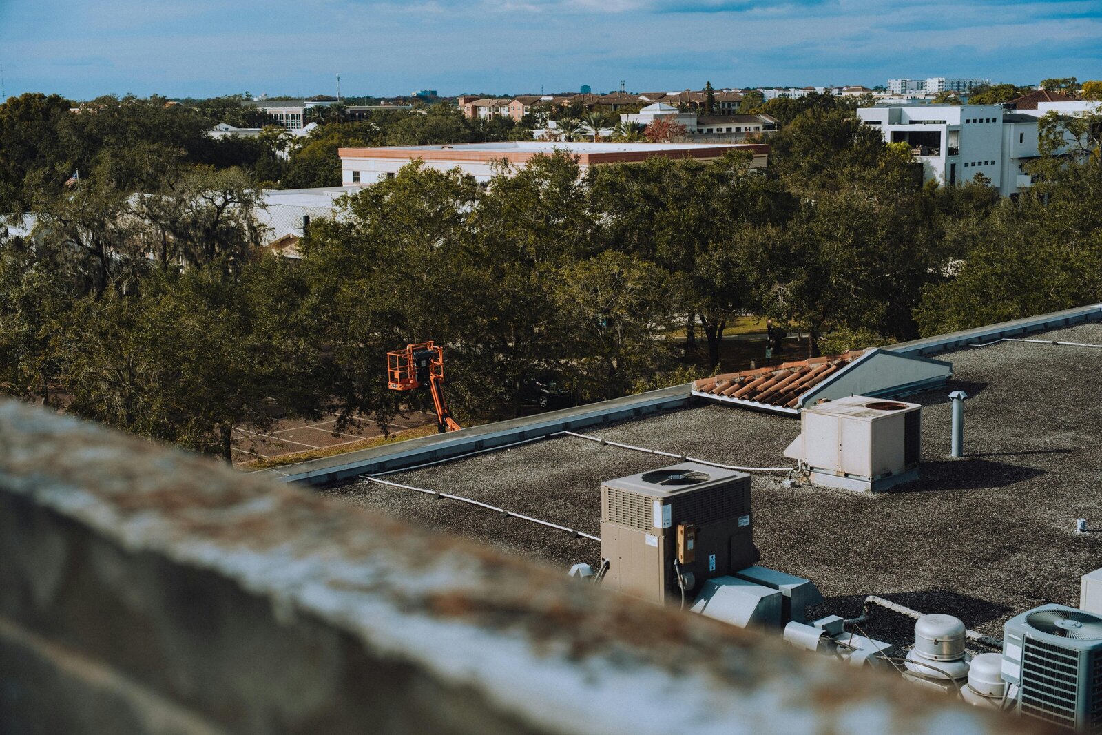 pexels-alteredsnaps-14982942