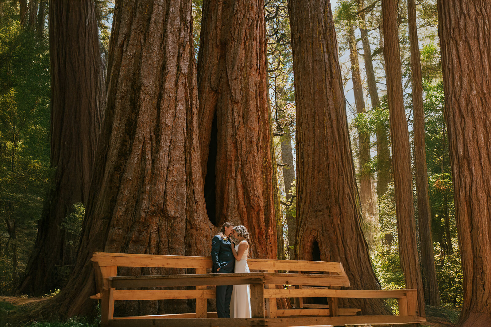 california-elopement-photographer-89