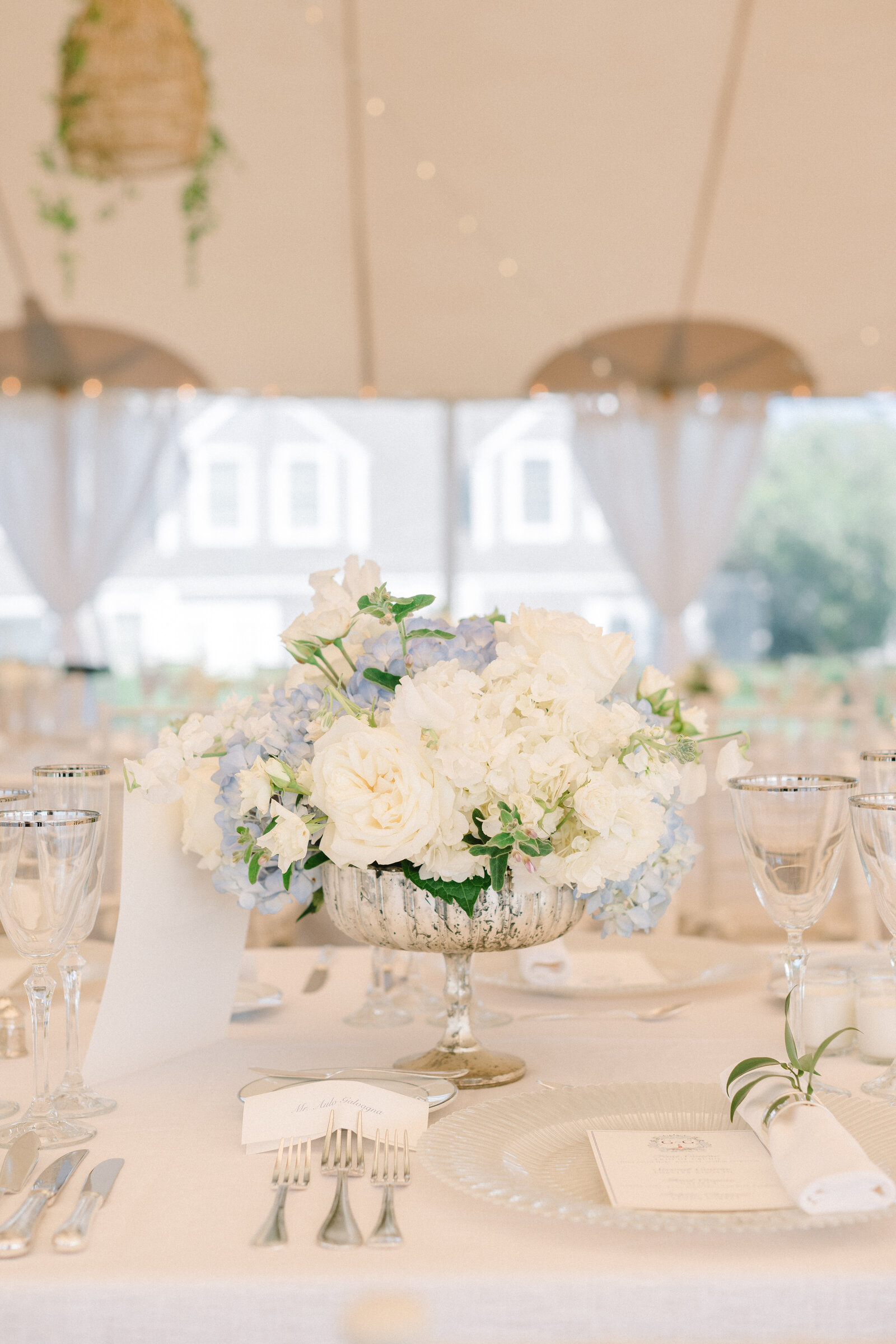 Gaia and Giacomo Wedding_RLP_719
