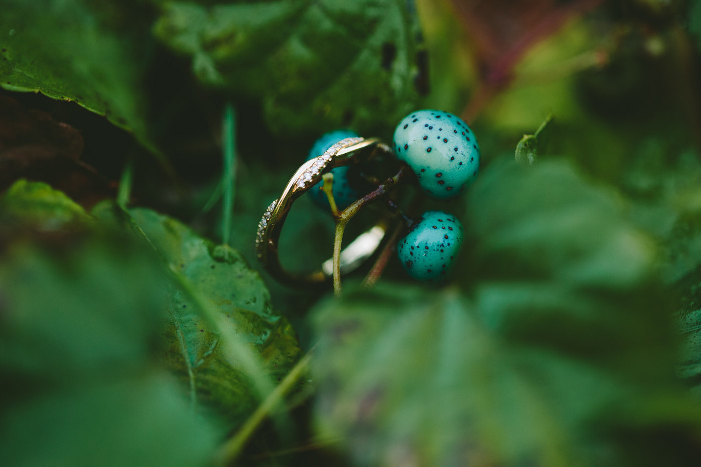Engagements Don Alayna-Edits-0072