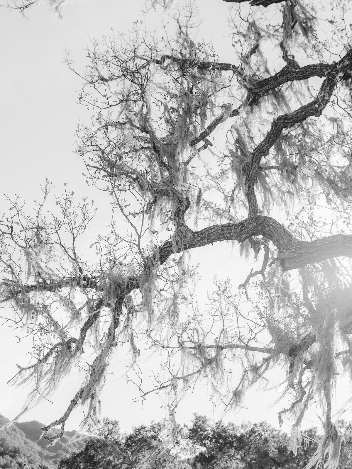 07 Alisal Wedding Photograhy