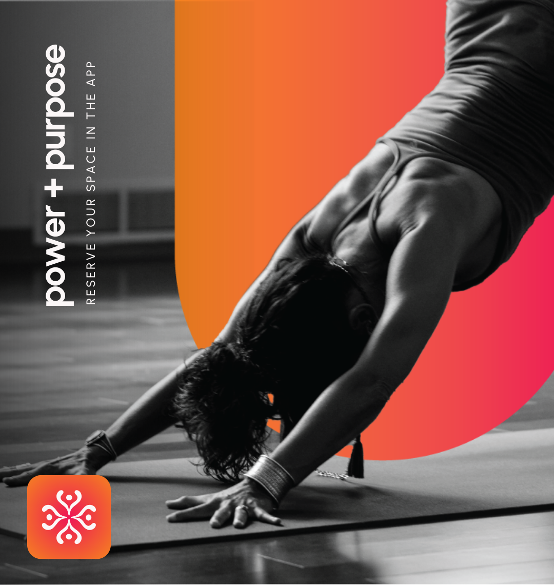 Liberty Type Branding and Website Design Agency Knoxville, Tennessee Therapist Brand Therapist Branding Chiropractor Brand Chiropractor Branding Doctor Brand Doctor Branding Nutritionist Brand Nutritionist Branding Interior Designer5