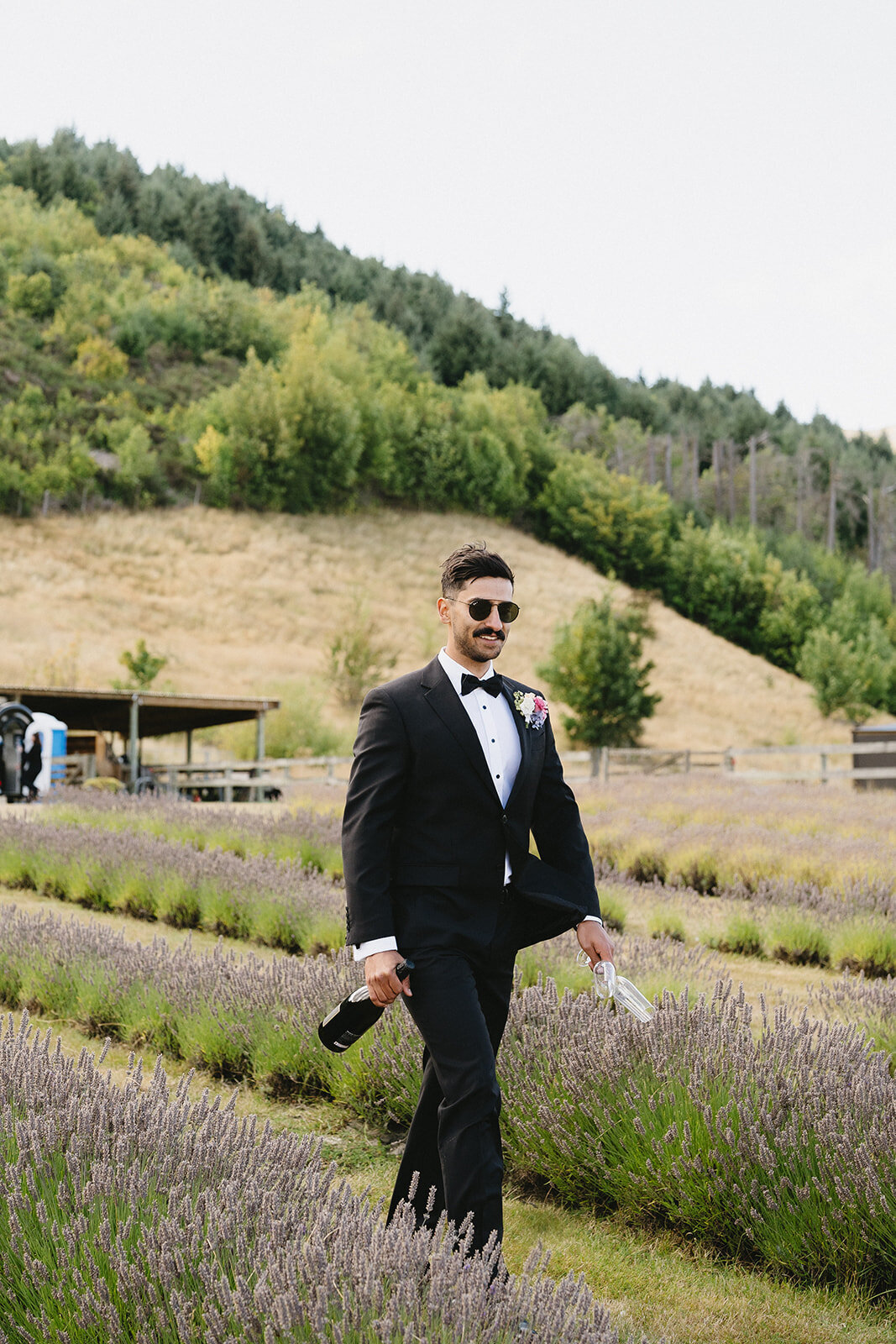 Wedding at Ben Lomond Lavender Farm