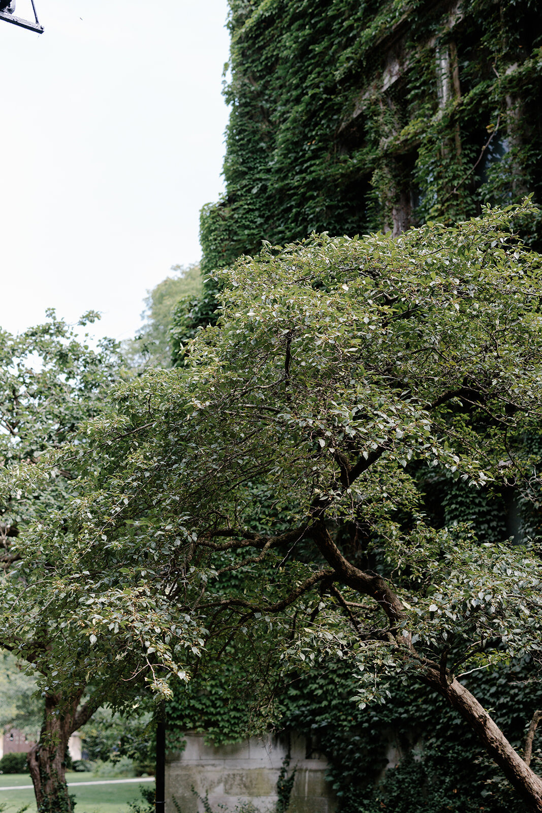 9746233484.jpg_exif1