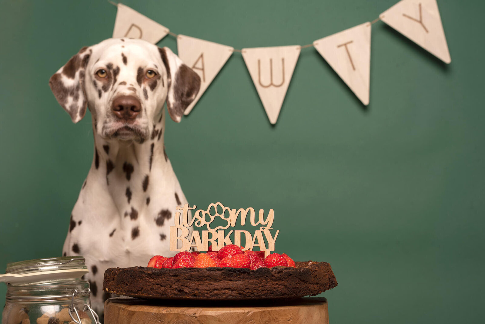 houten vlag feest hond gepesonaliseerd party pawty verjaardag