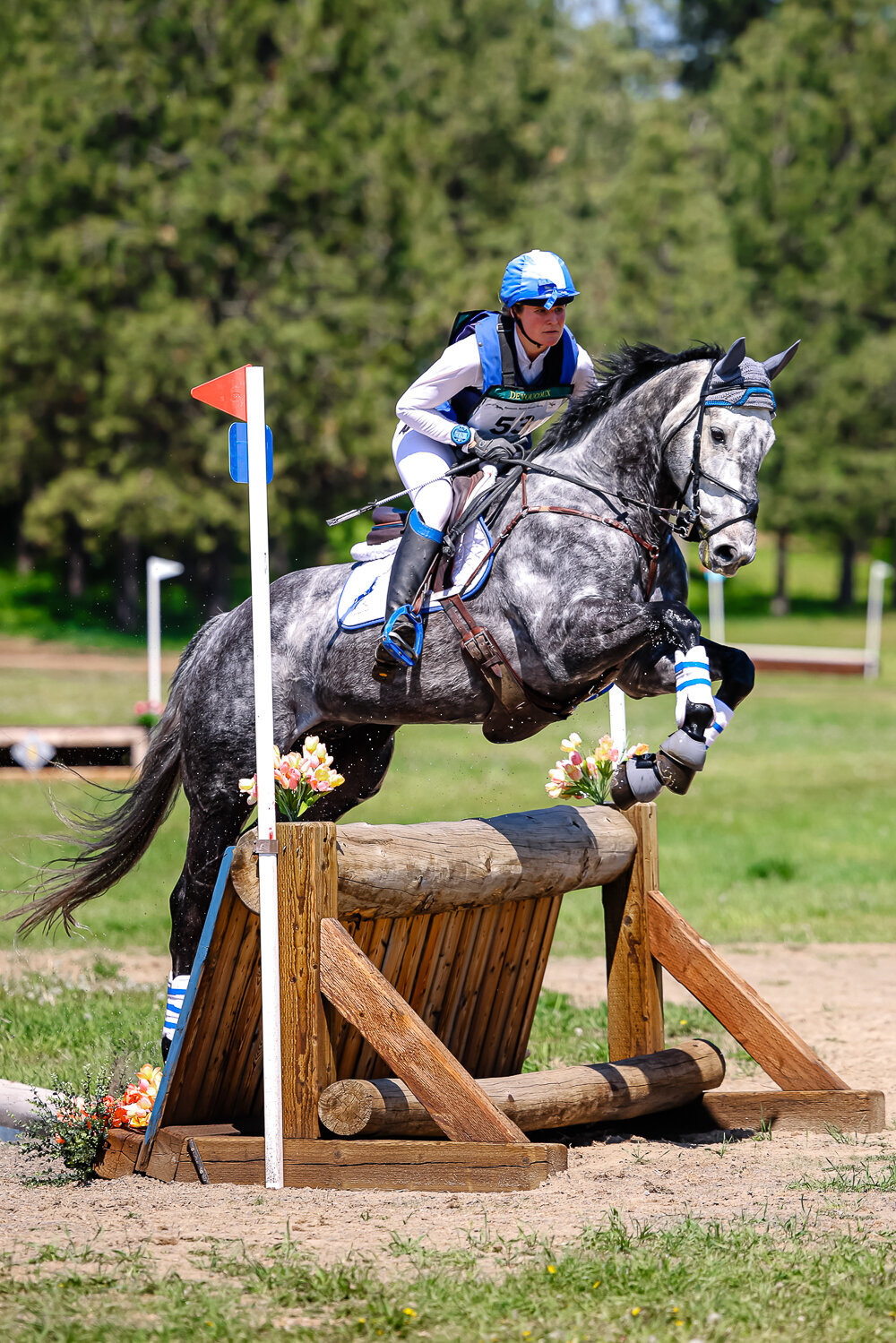 horse show_event_coverage_eventing_dressage_showjumping_clinics_galleries_proofs.jpg (66)
