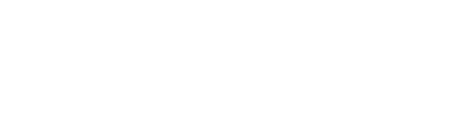 novo-foundation