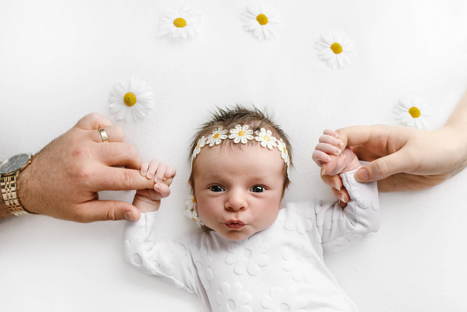 Newborn baby sleeping in a proffesional wrap by Hboart Newborn Photographer Lauren Vanier