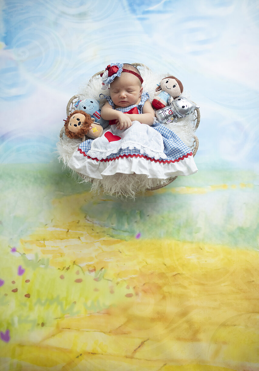 Newborn girl dressed as Dorothy from Wizard of Oz.