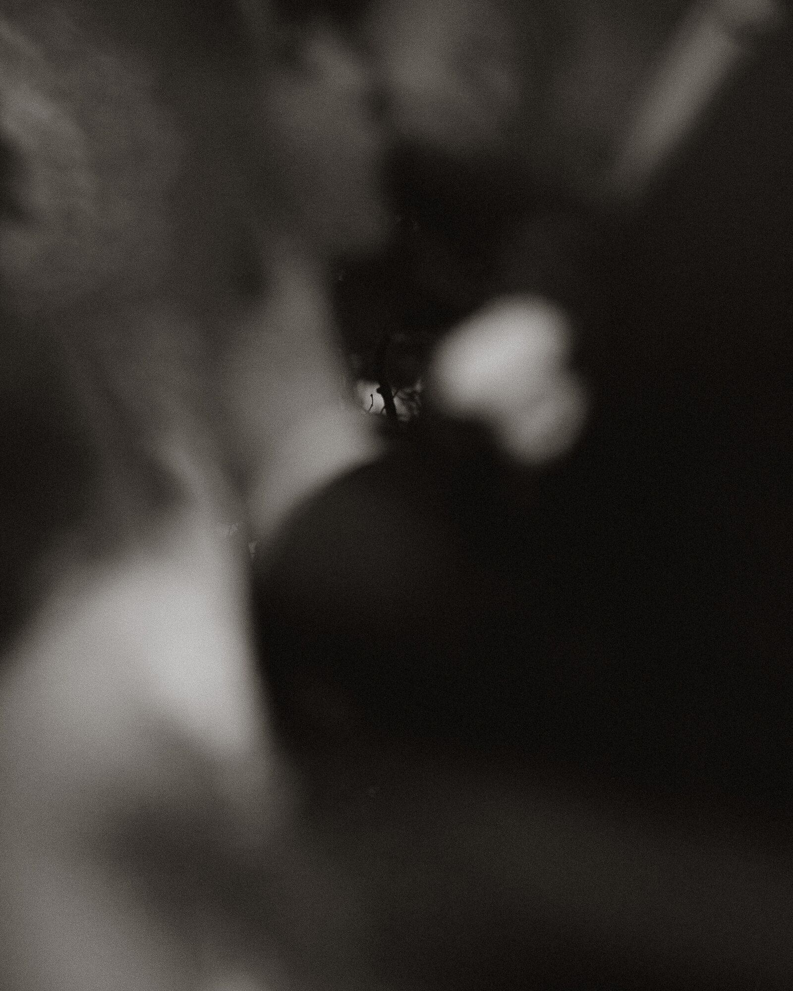 WEBSITE-ottawa-toronto-pec-montreal-nyc-art-lifestyle-cinematic-storytelling-wedding-elopement-couples-photographer-1847