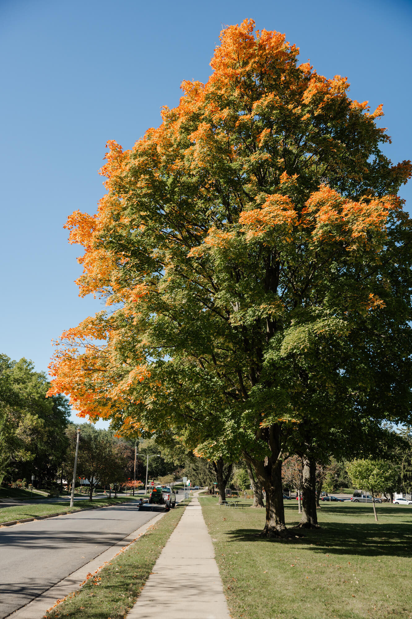 Rennebohm Park-2