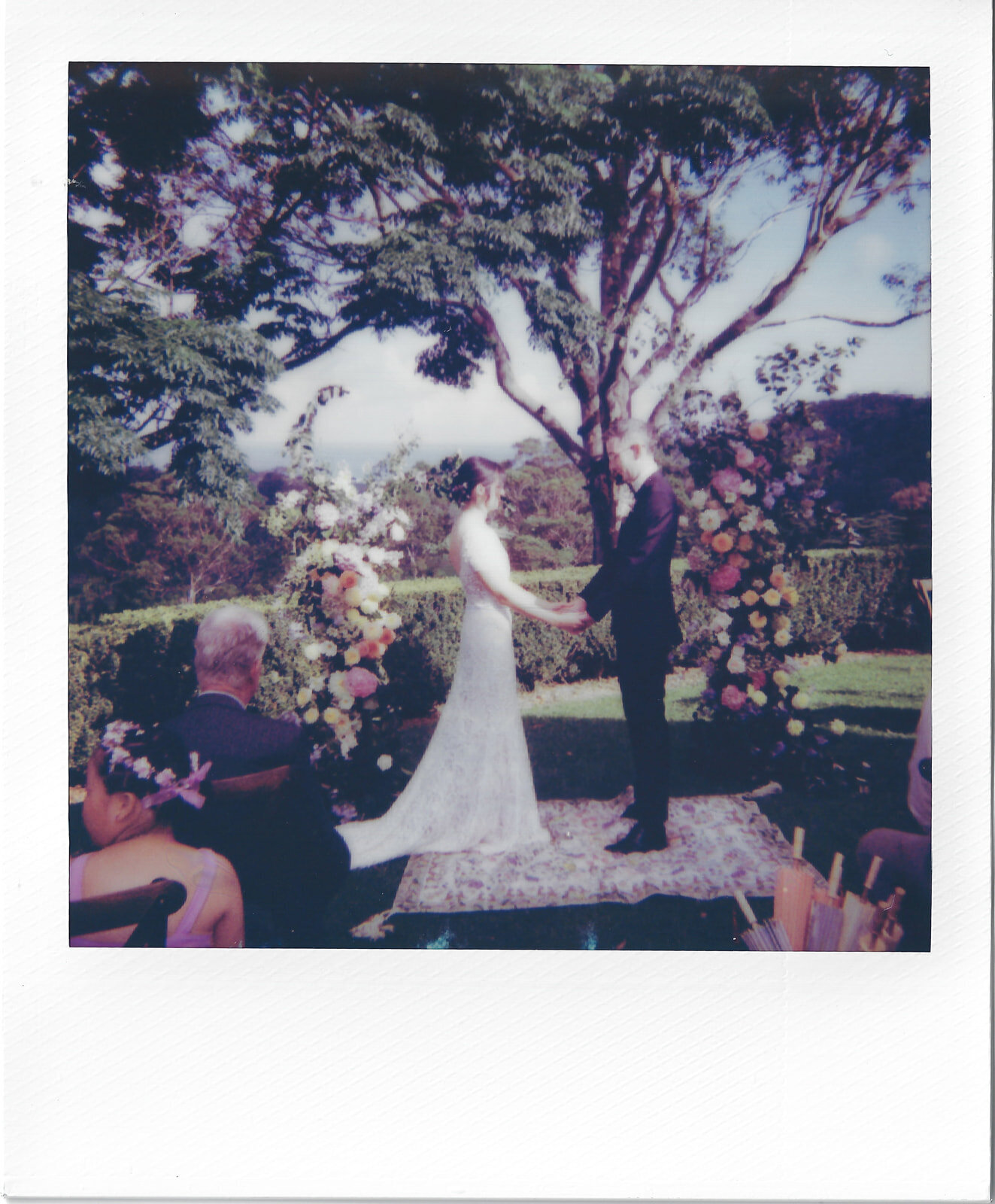 FigTreeParkWedding_23