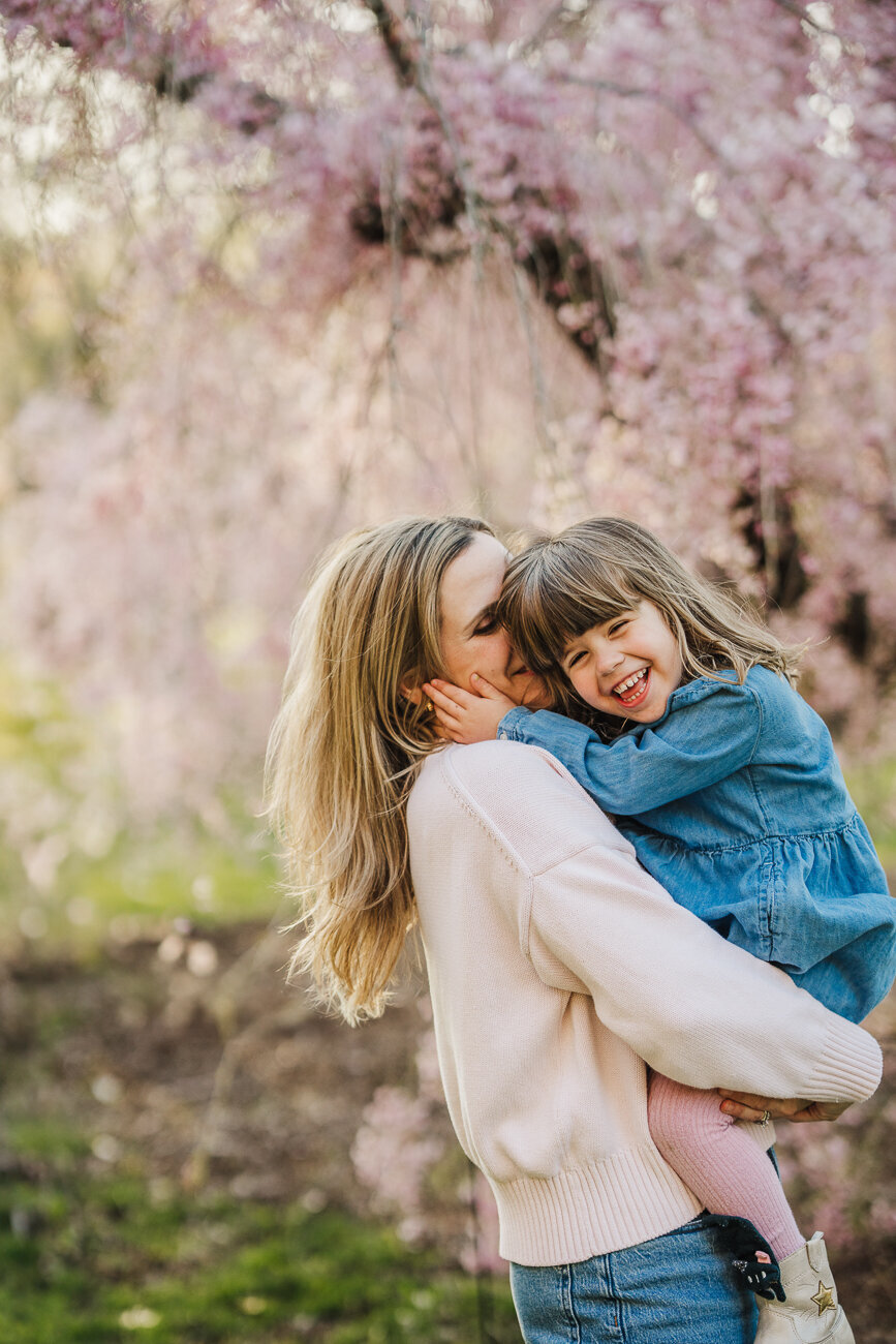 mother holds and hugs toddler daughter among the cherry blossoms in boston