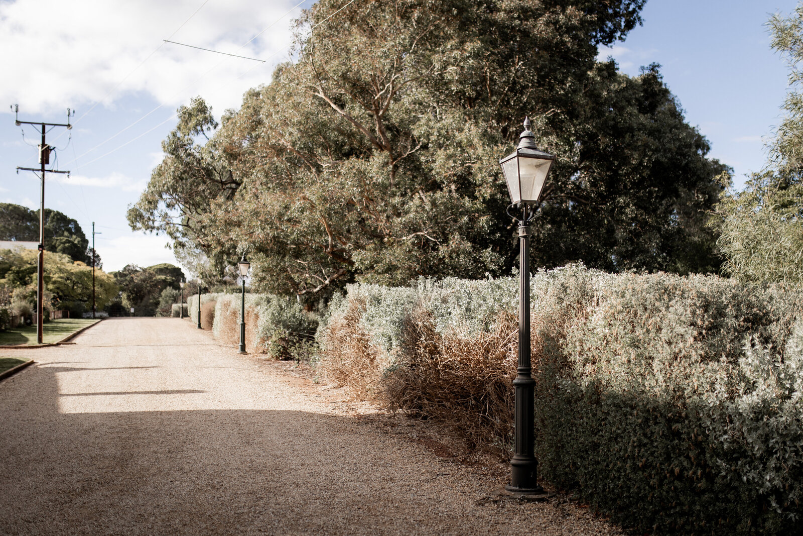 250612-Lucy-Brandon-Rexvil-Photography-Adelaide-Wedding-Photographer-220