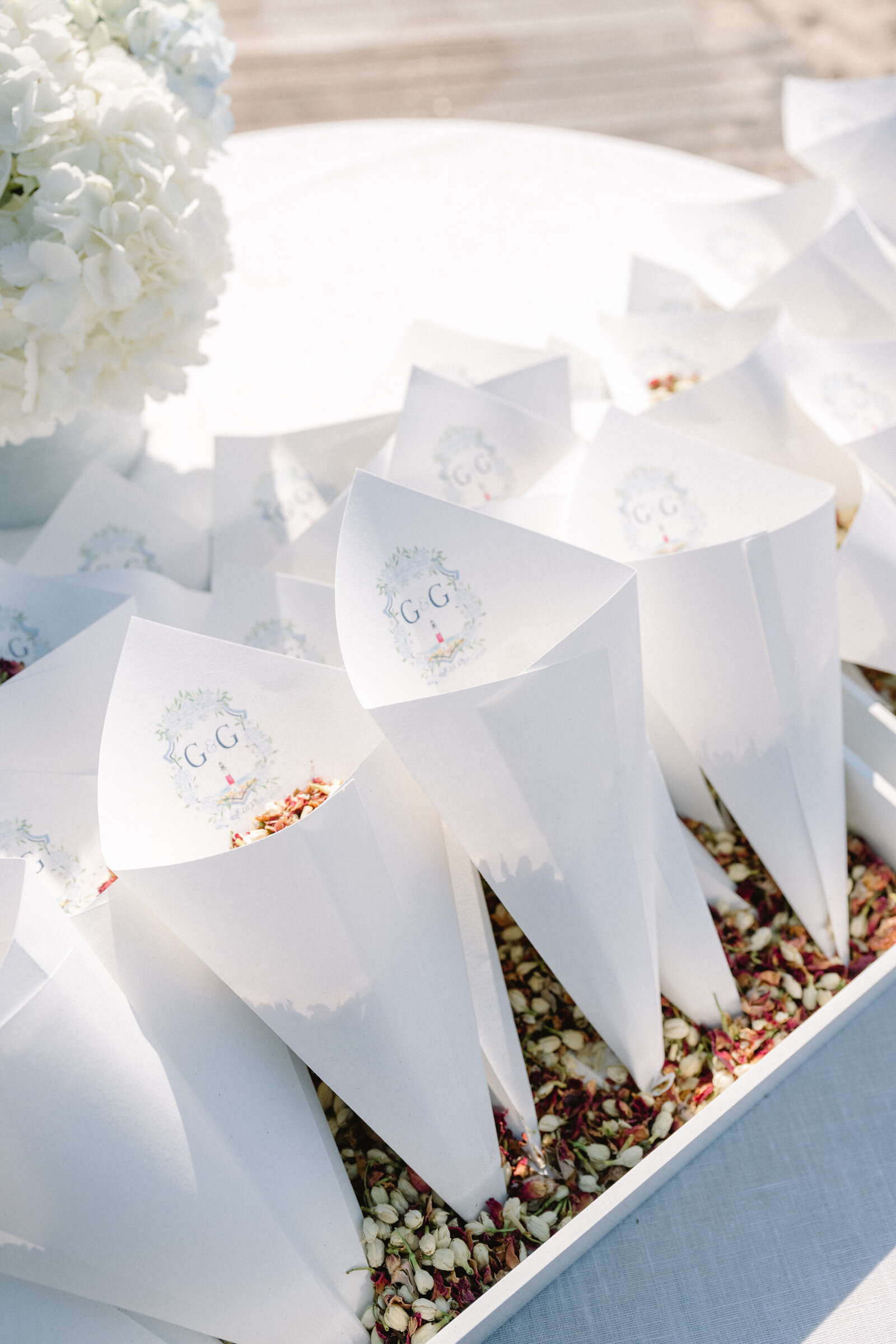 Gaia and Giacomo Wedding_RLP_749