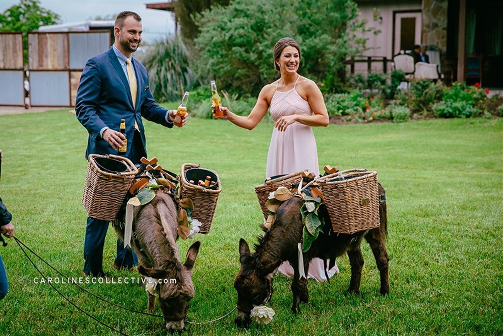 donkeys-outdoor-wedding-venue-texas