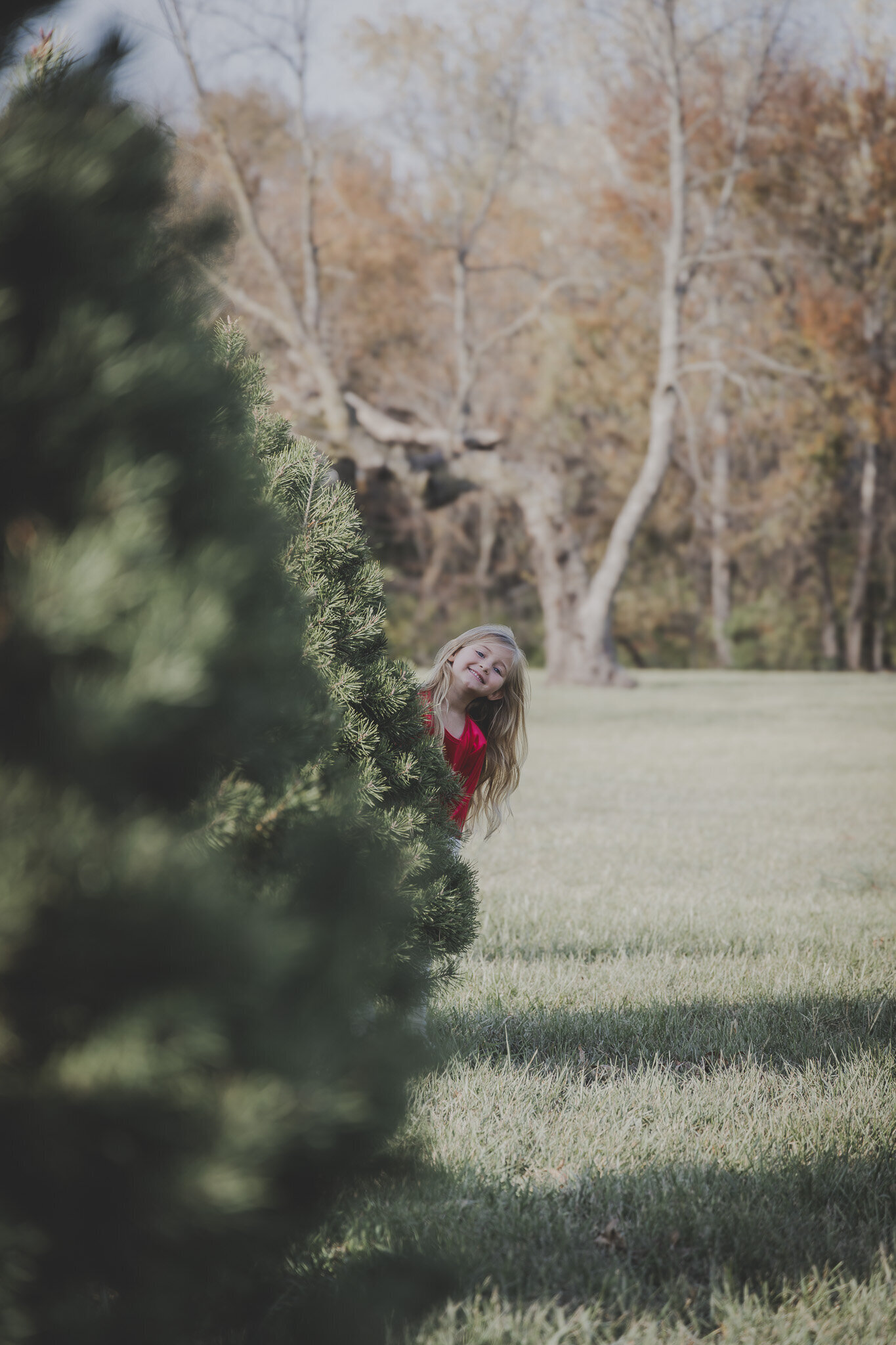 best kids portrait photographer in kansas city at a tree farm 1