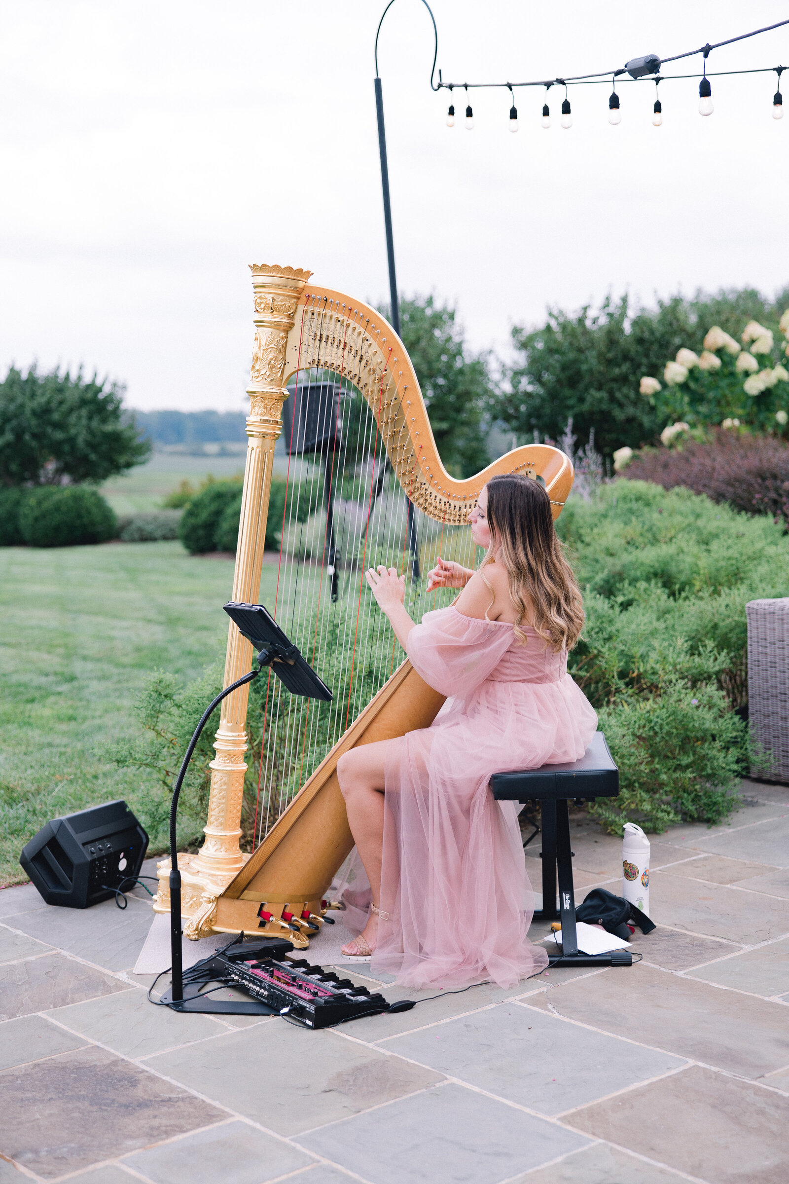 WilleyWedding_5C5A1224