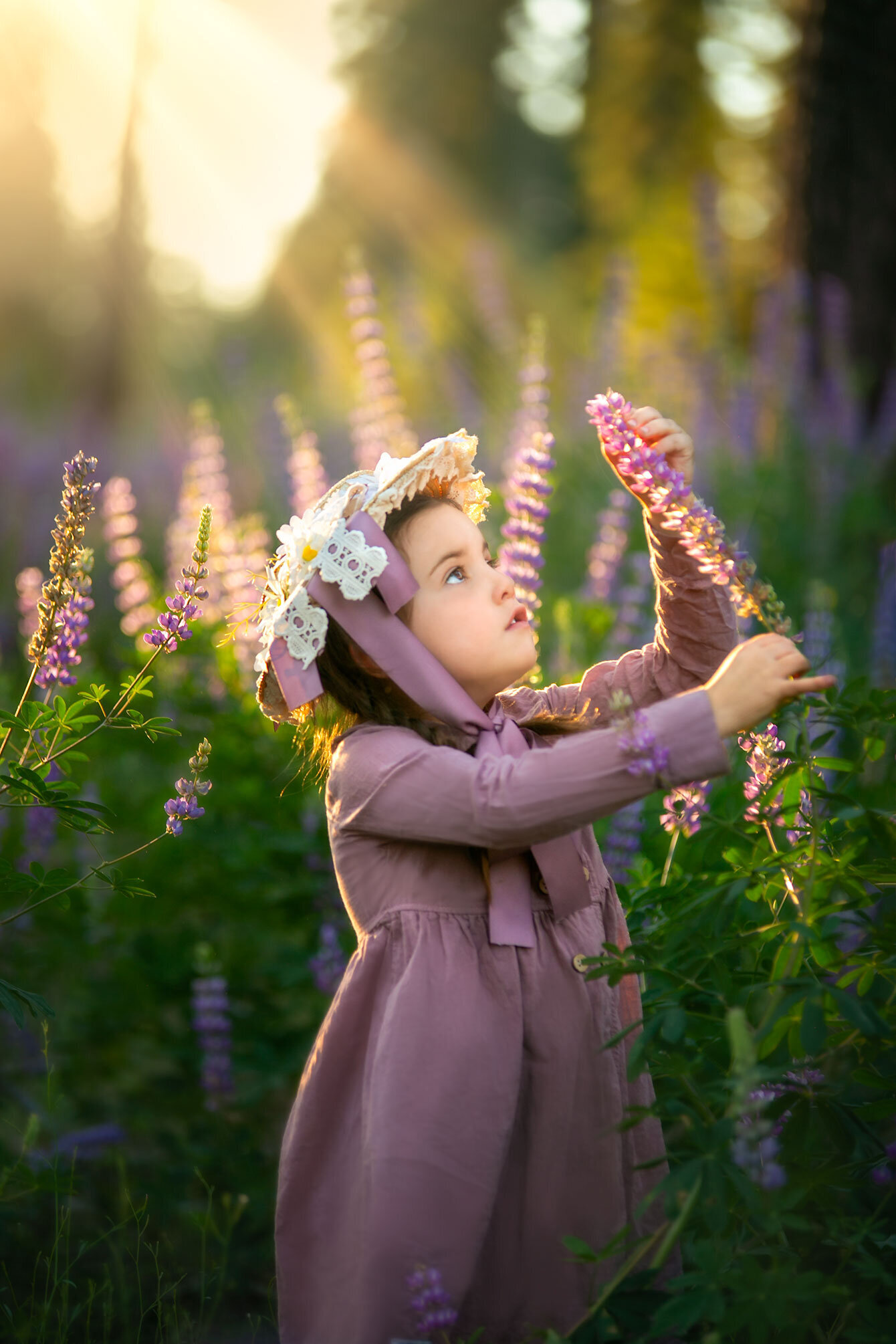 lupine-yosemite-girl-vintage-victorian