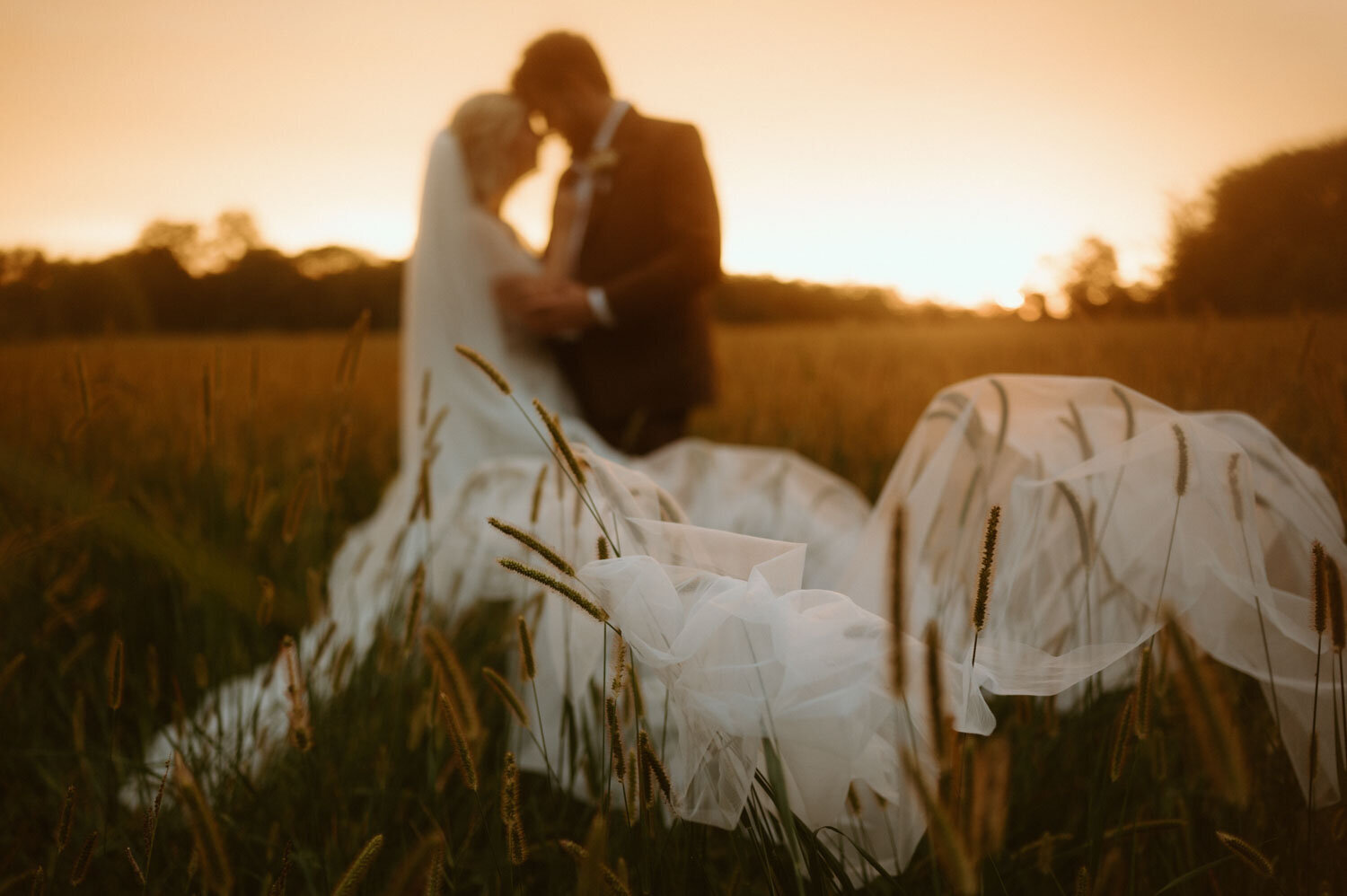 Bride and groom kissing in a field at sunset