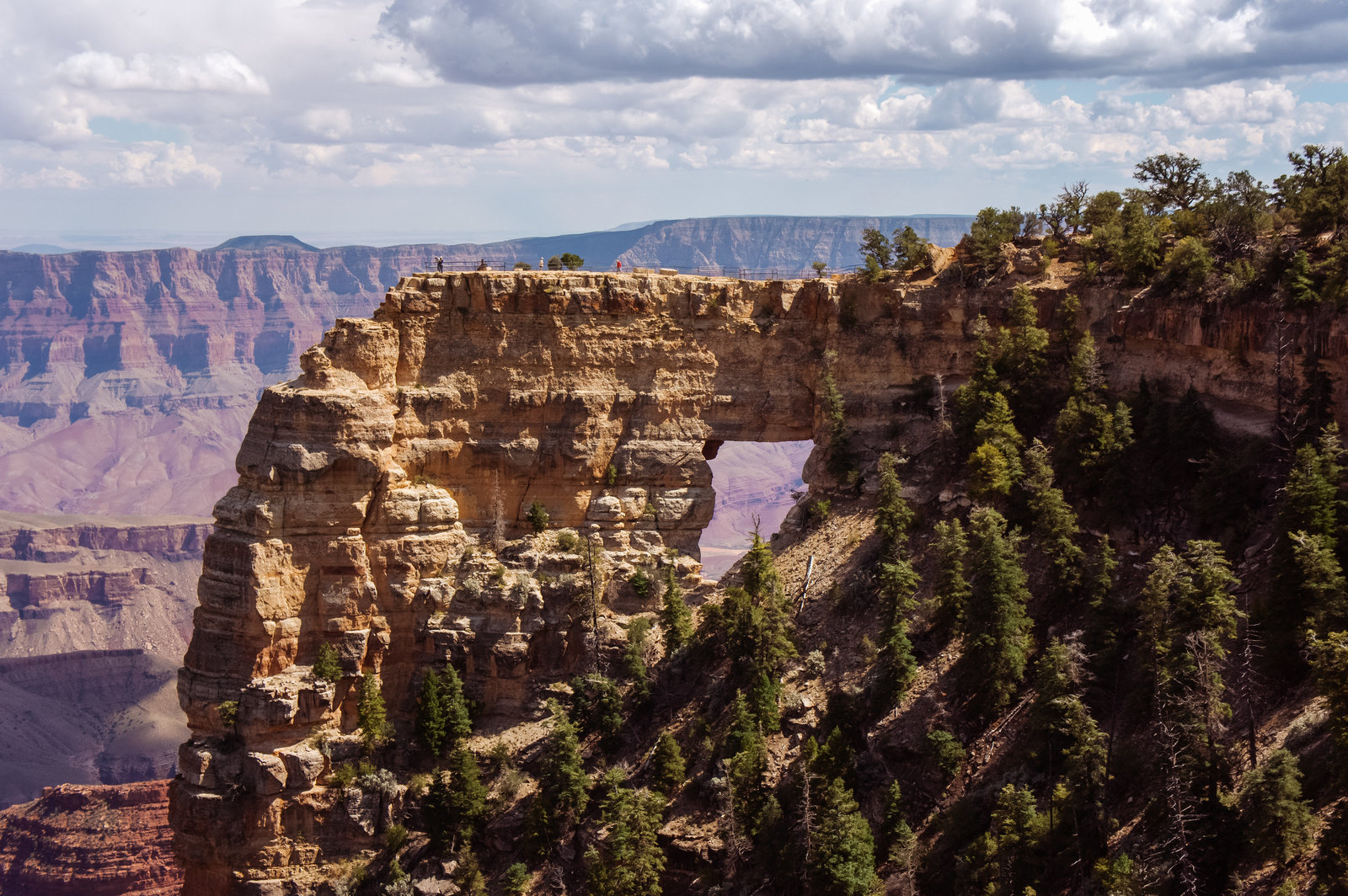 Sasha_Reiko_Photography_Travel_Utah_Arches_Canyon_Lands_Zion_Grand_Canyon-12