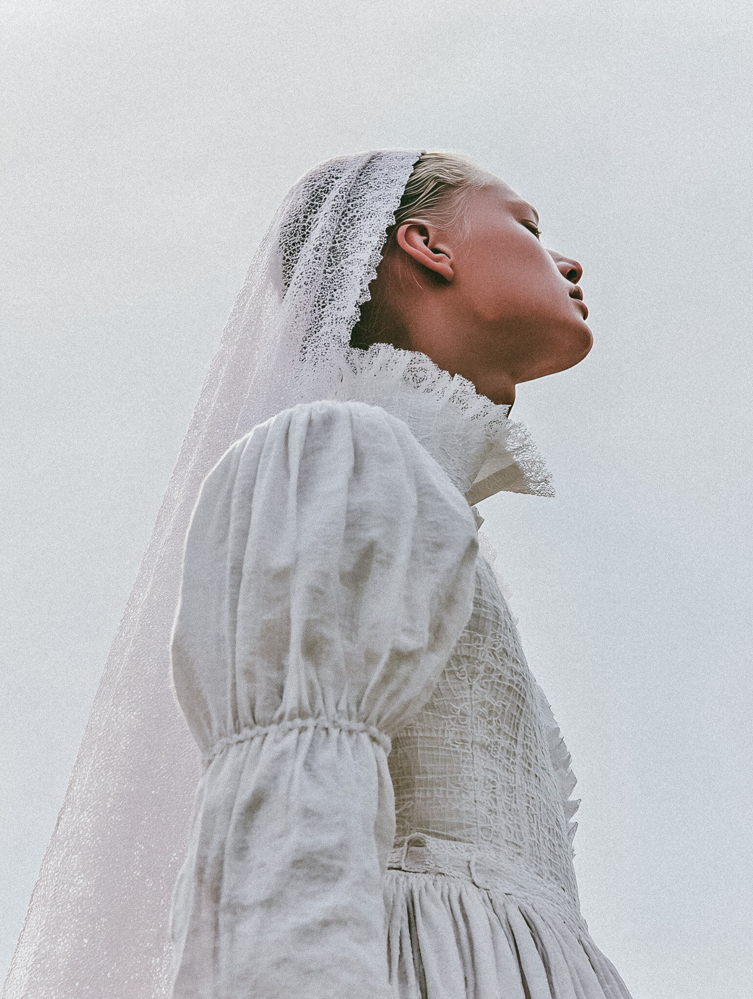 Vintage Lace Elegance