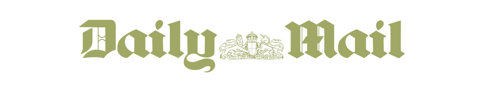 Daily Mail Logo