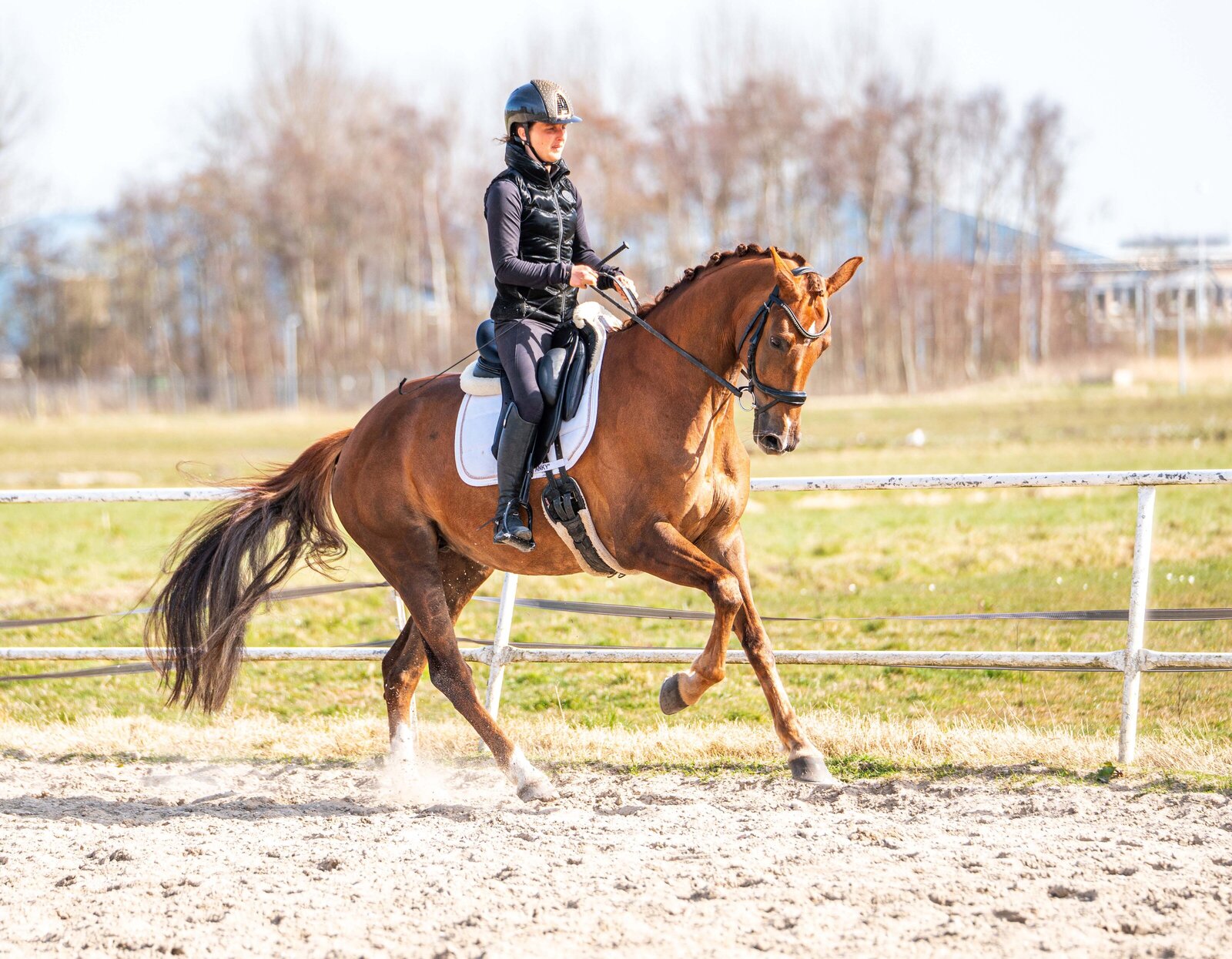 Verkoopfoto gemaakt door Cheyenne Vlottes (2)