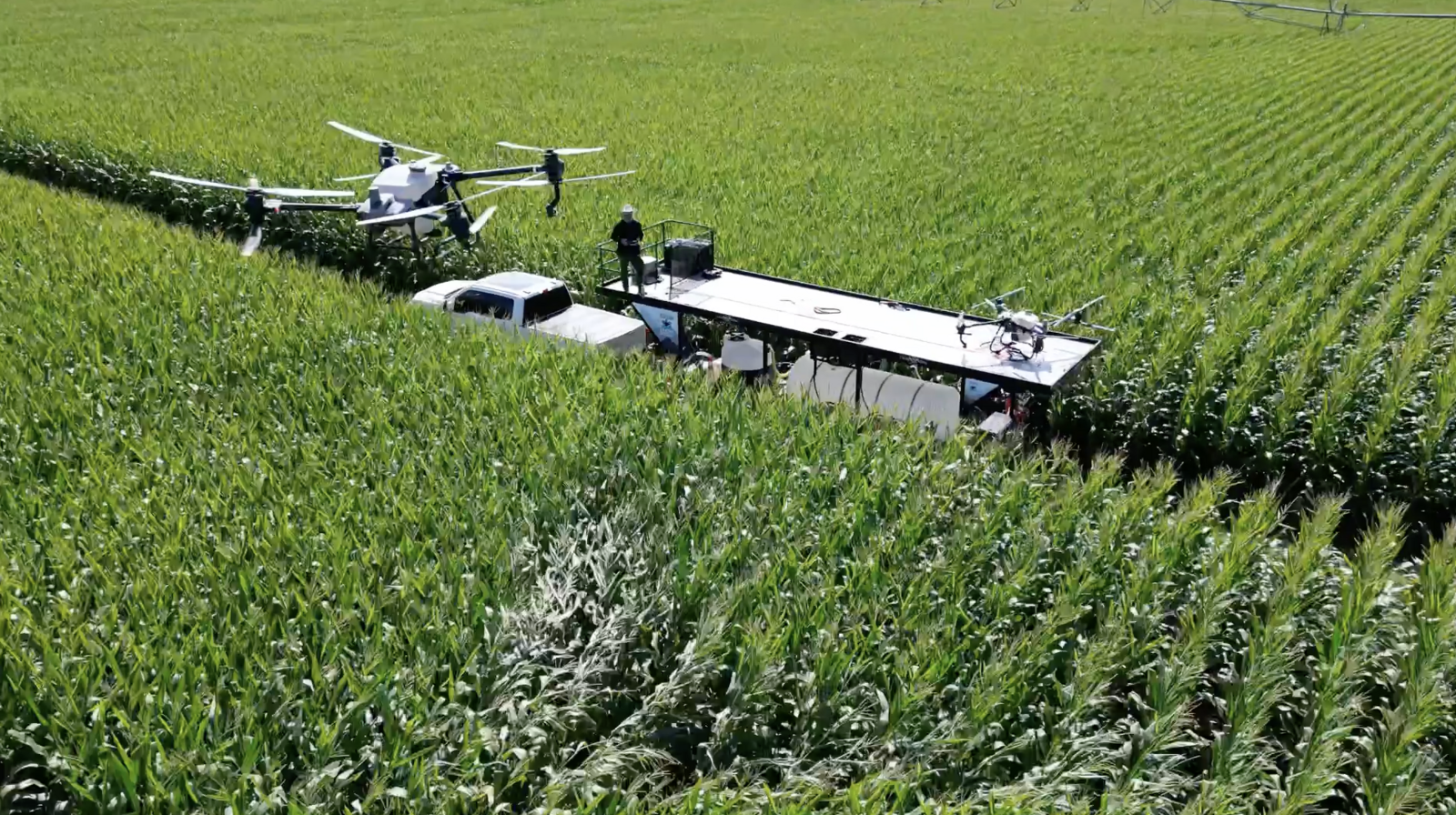 Raven 6 Rising spraying corn fields in Indiana