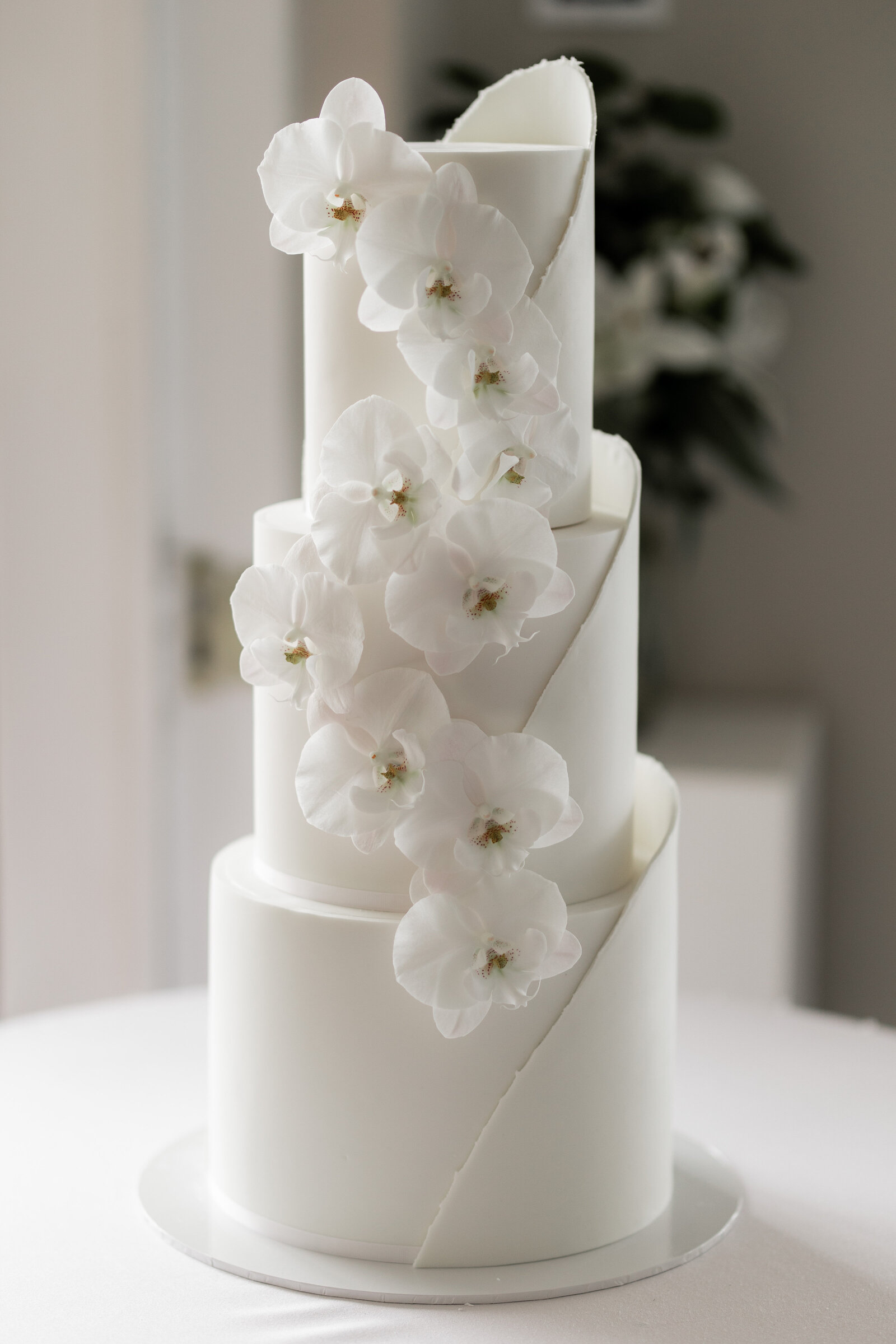 241123-Mikaela-Nathan-Rexvil-Photography-Adelaide-Wedding-Photographer-237