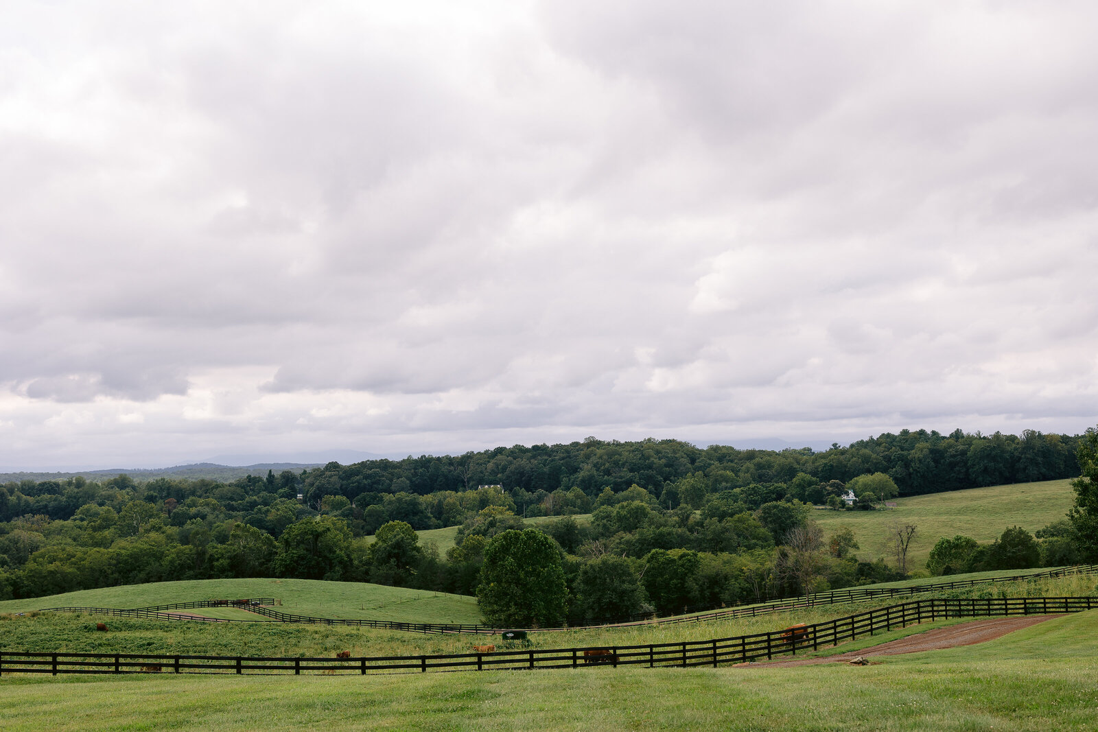 HighlandRidgeLindsayMackPhotography-0028