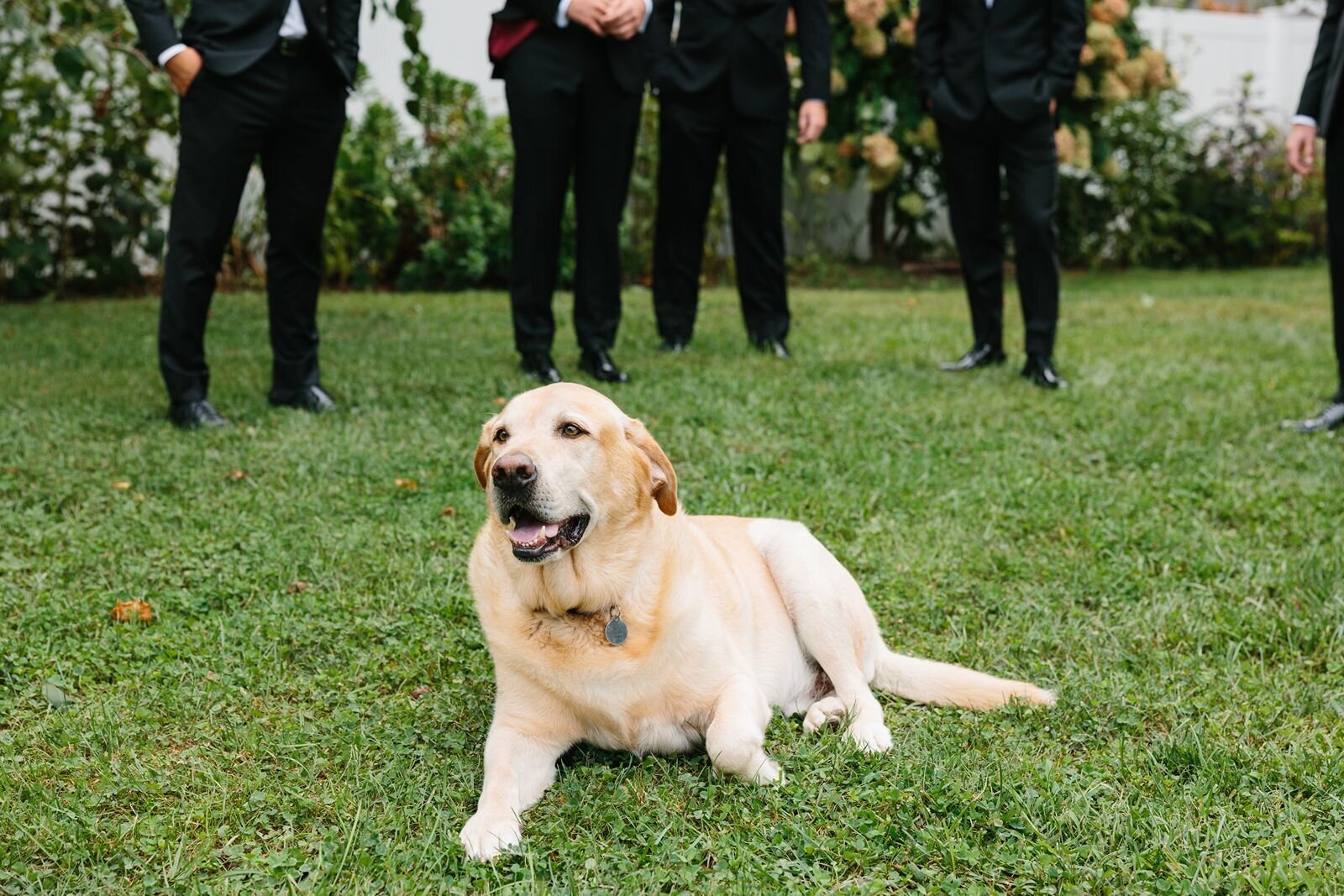 leila-james-events-newport-rhode-island-luxury-wedding-planner-castle-hill-inn-venue-erin-mcginn-wedding-photographer-bright-florals-CH0216 copy