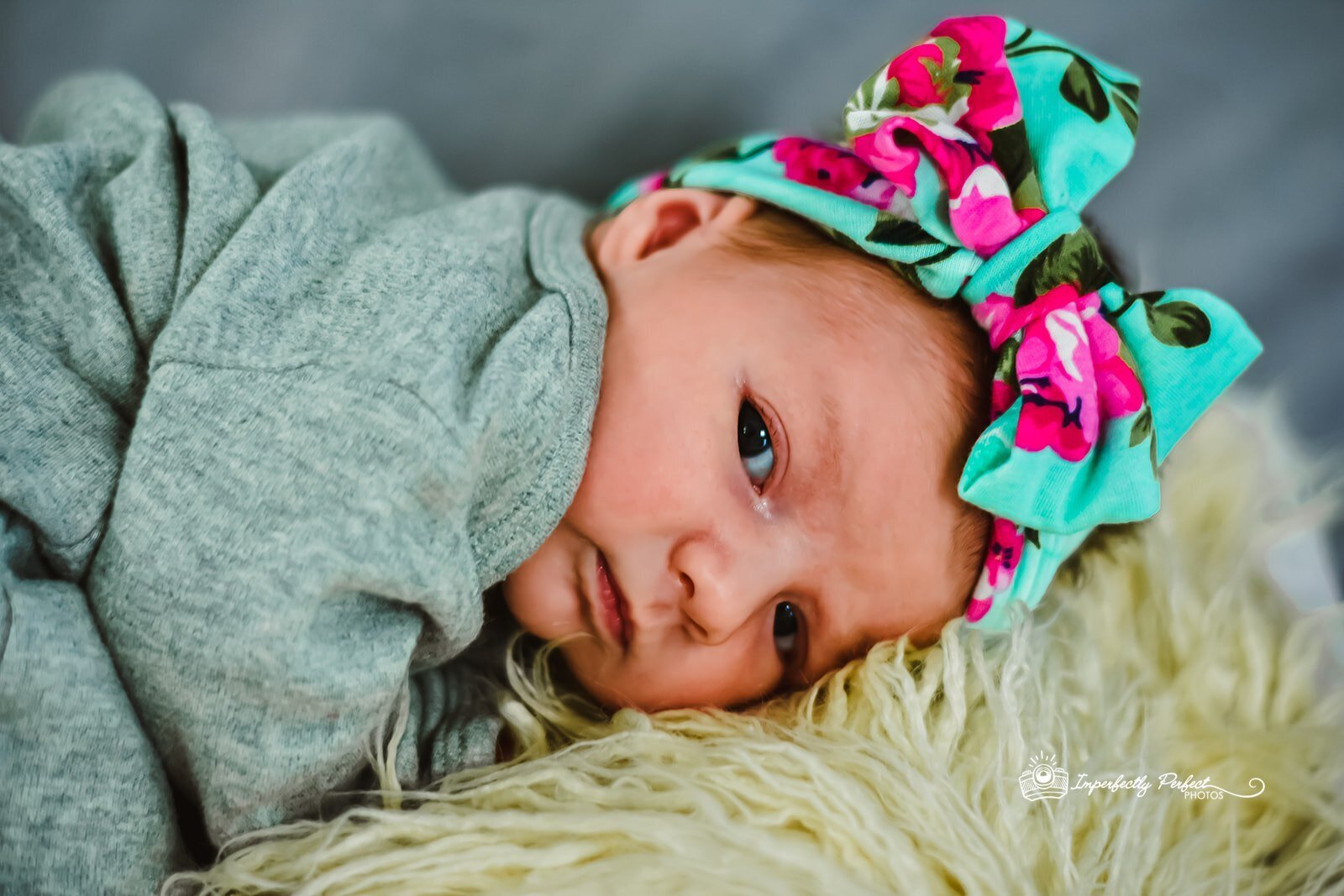 posed newborn with big bow on head