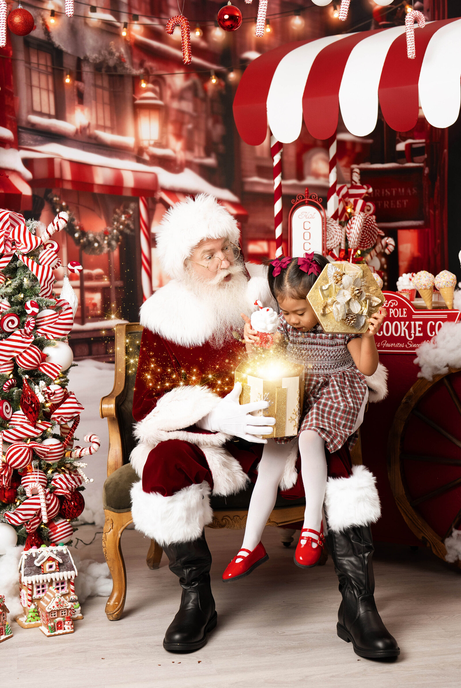 SteinArtStudio 2025-11-01 Chrismas Adds-24