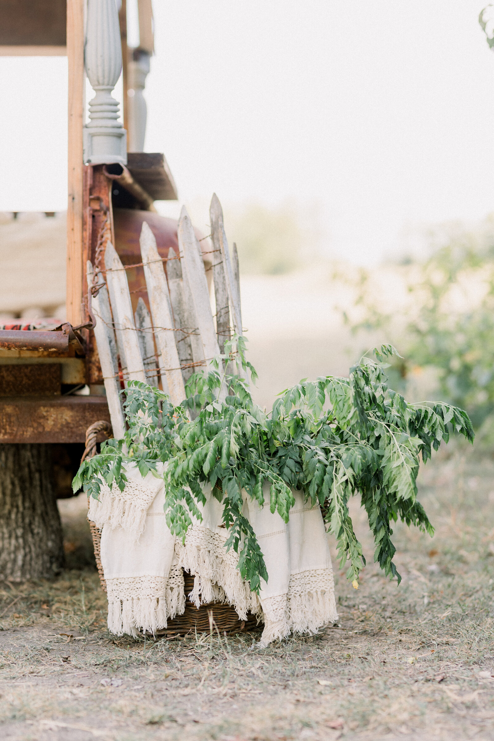 rustic basket vegetables