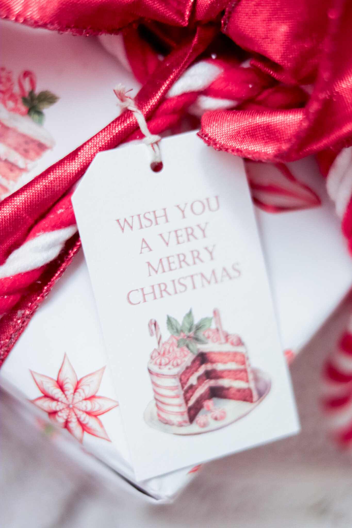 NYC NJ NEW YORK NEW JERSEY CHRISTMMAS DECORATOR  (25)