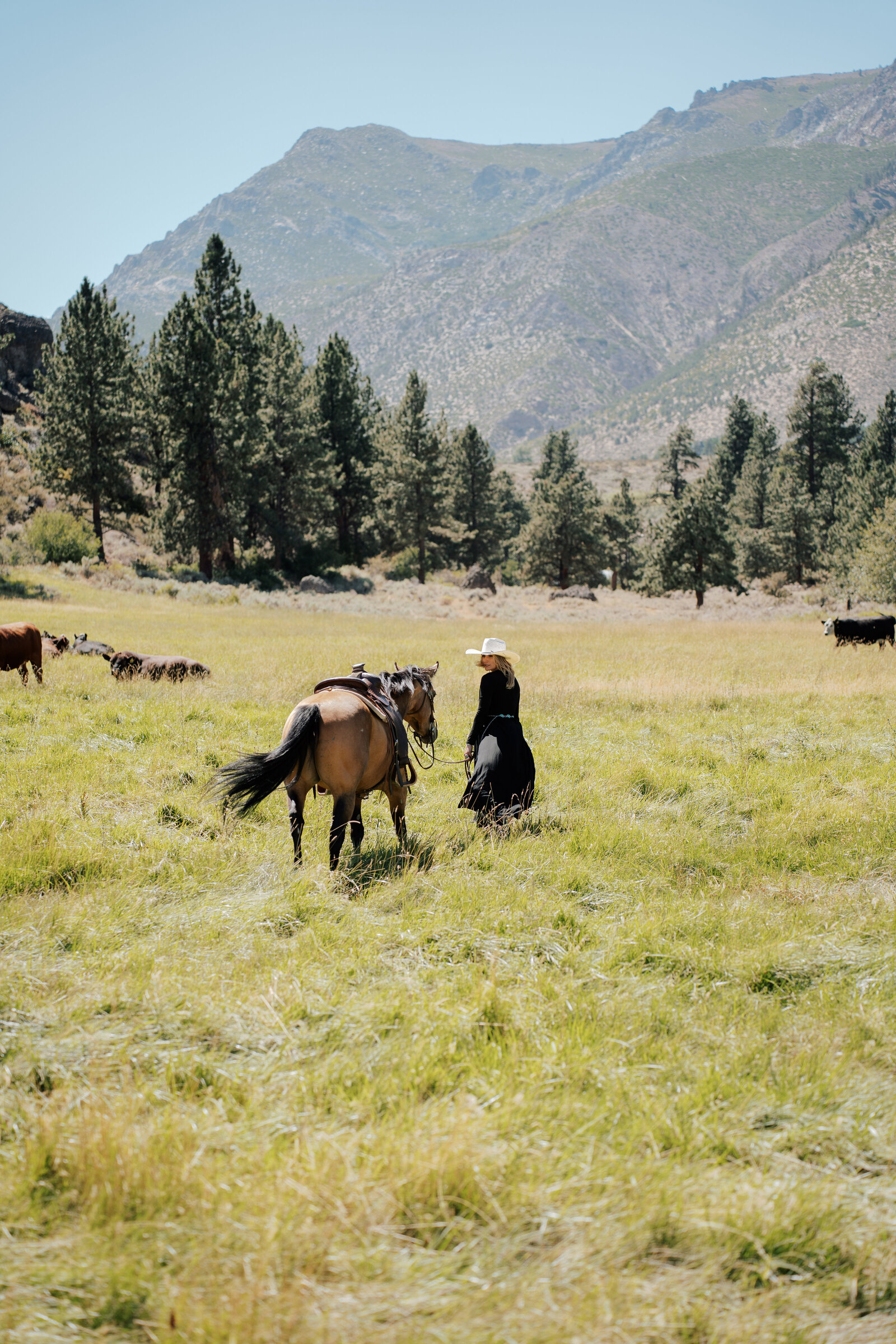 Carsonvalleyportraitswithhorse-4