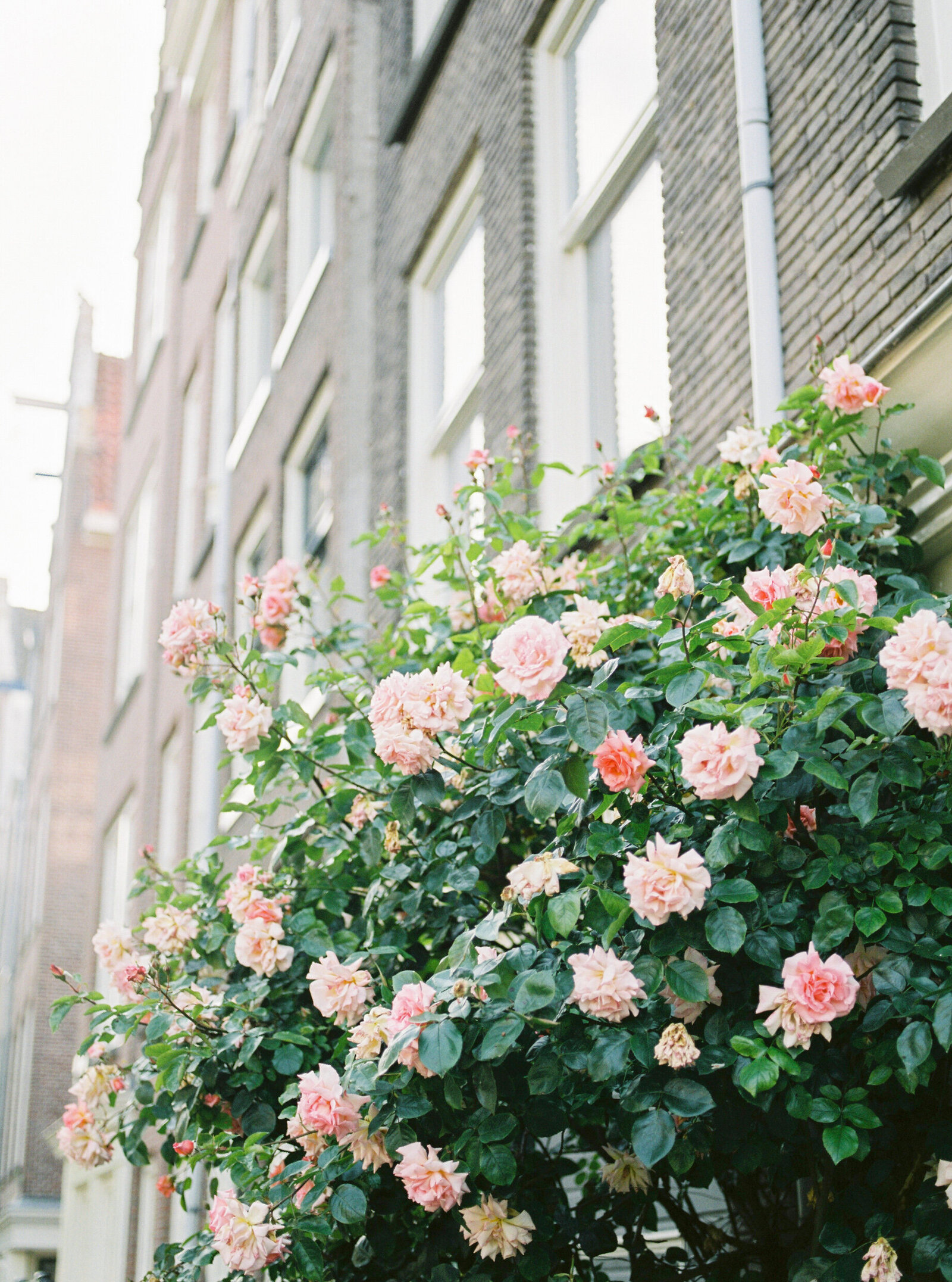 Wedding_Ciarra&Max_Michelle Wever Photography-29